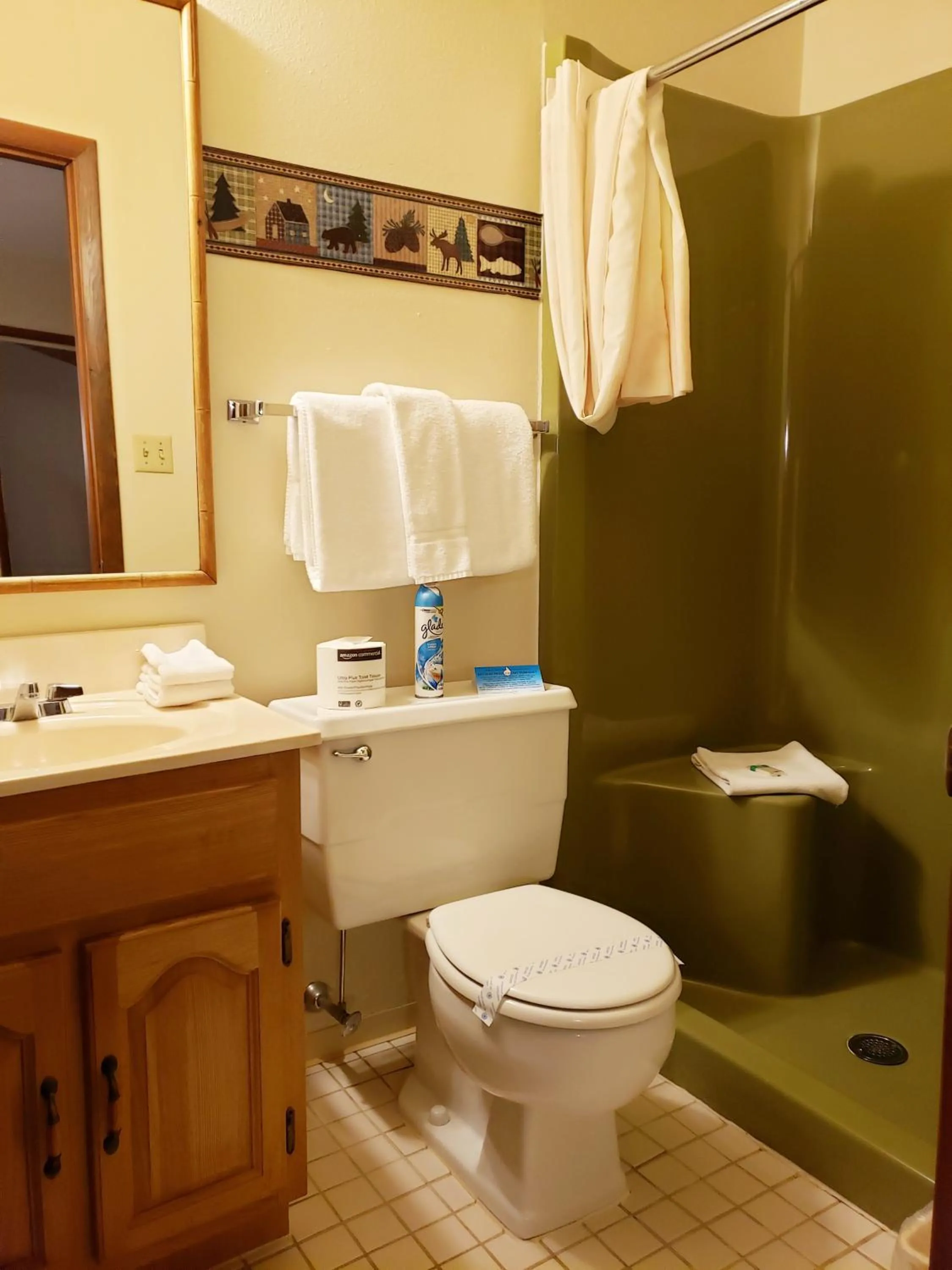 Bathroom in North Ironwood Acres - Black River Lodge