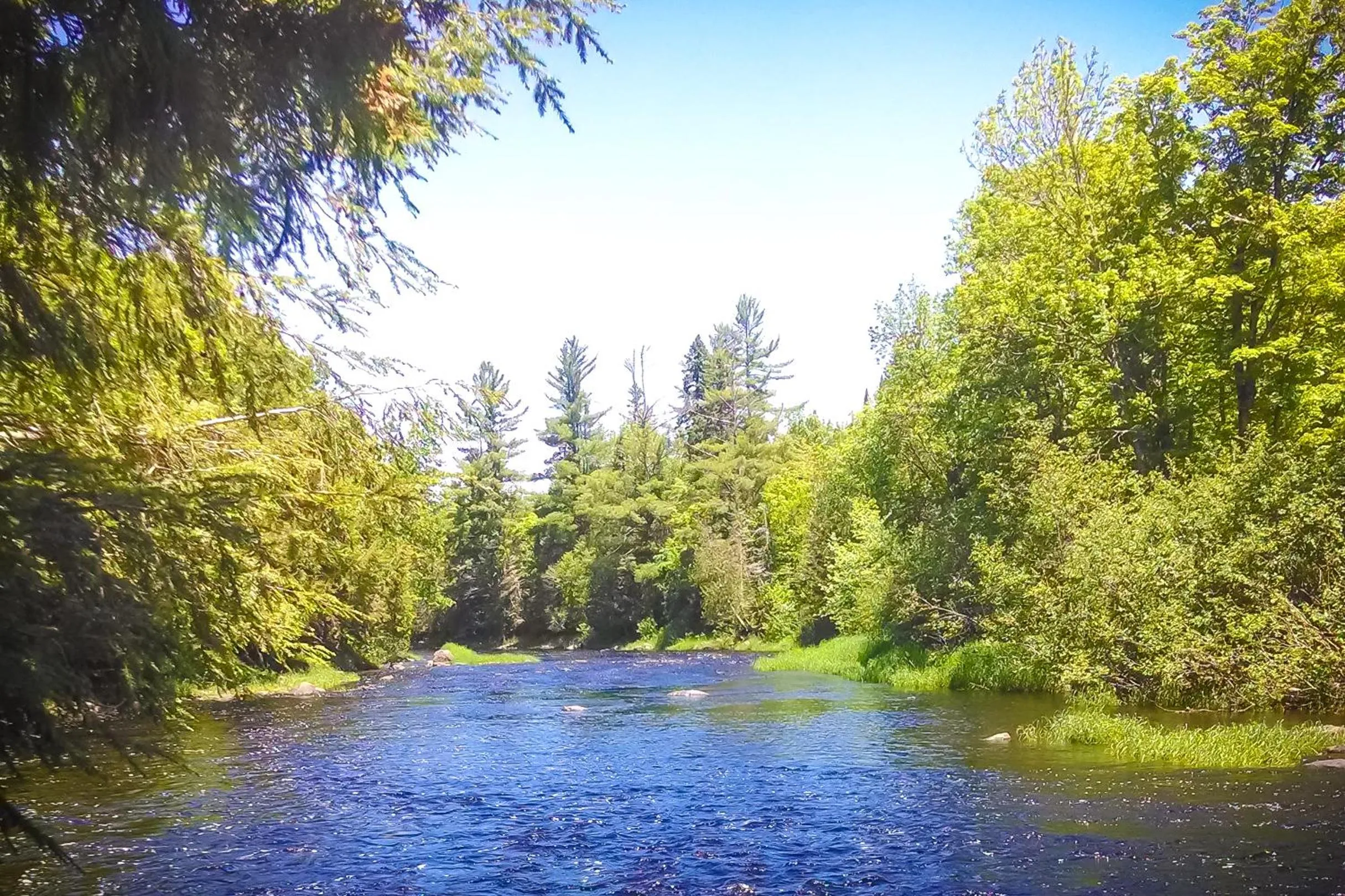Nearby landmark in North Ironwood Acres - Black River Lodge