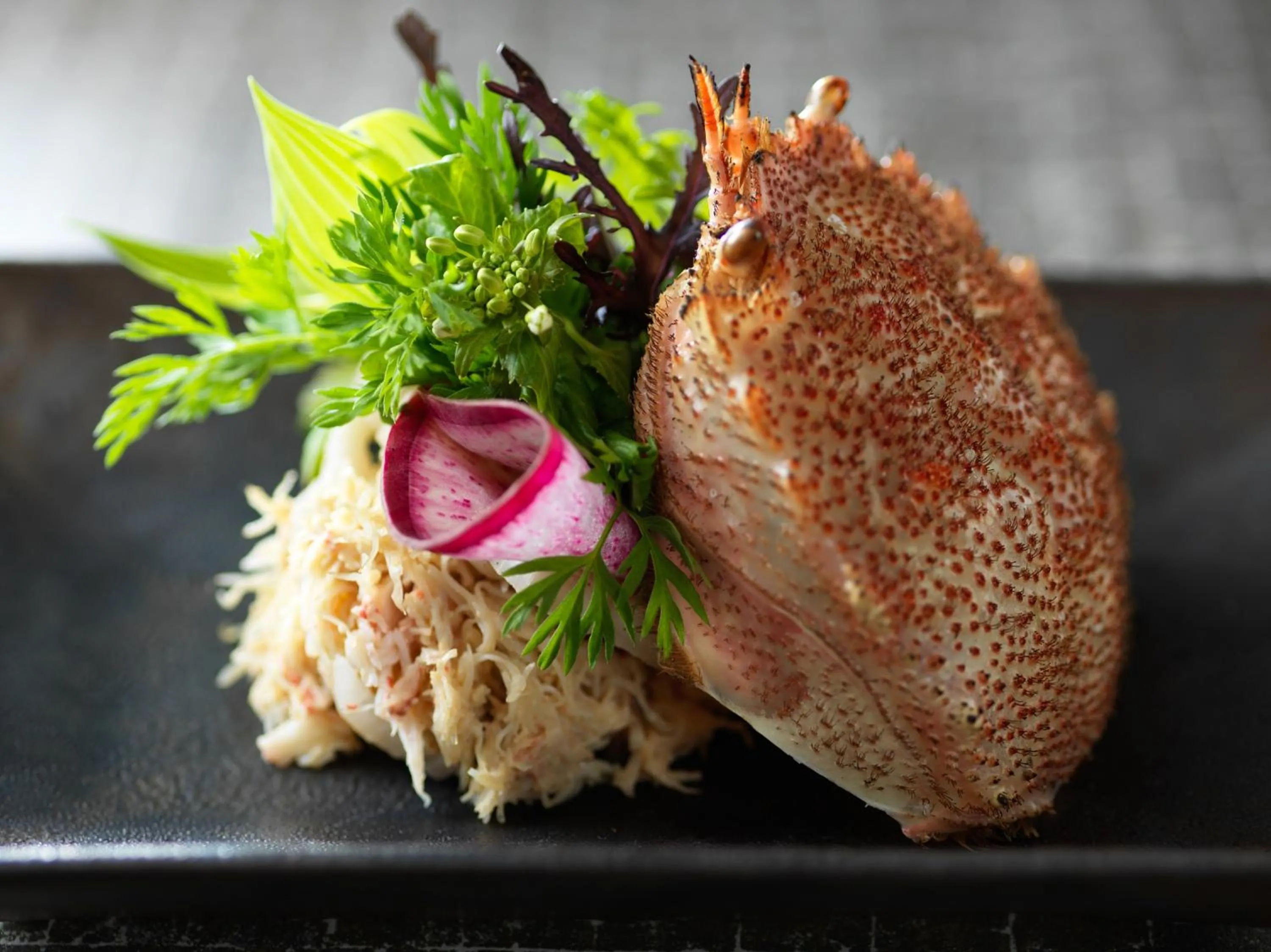 Restaurant/places to eat in Lake Shikotsu Tsuruga Bessou AO no ZA