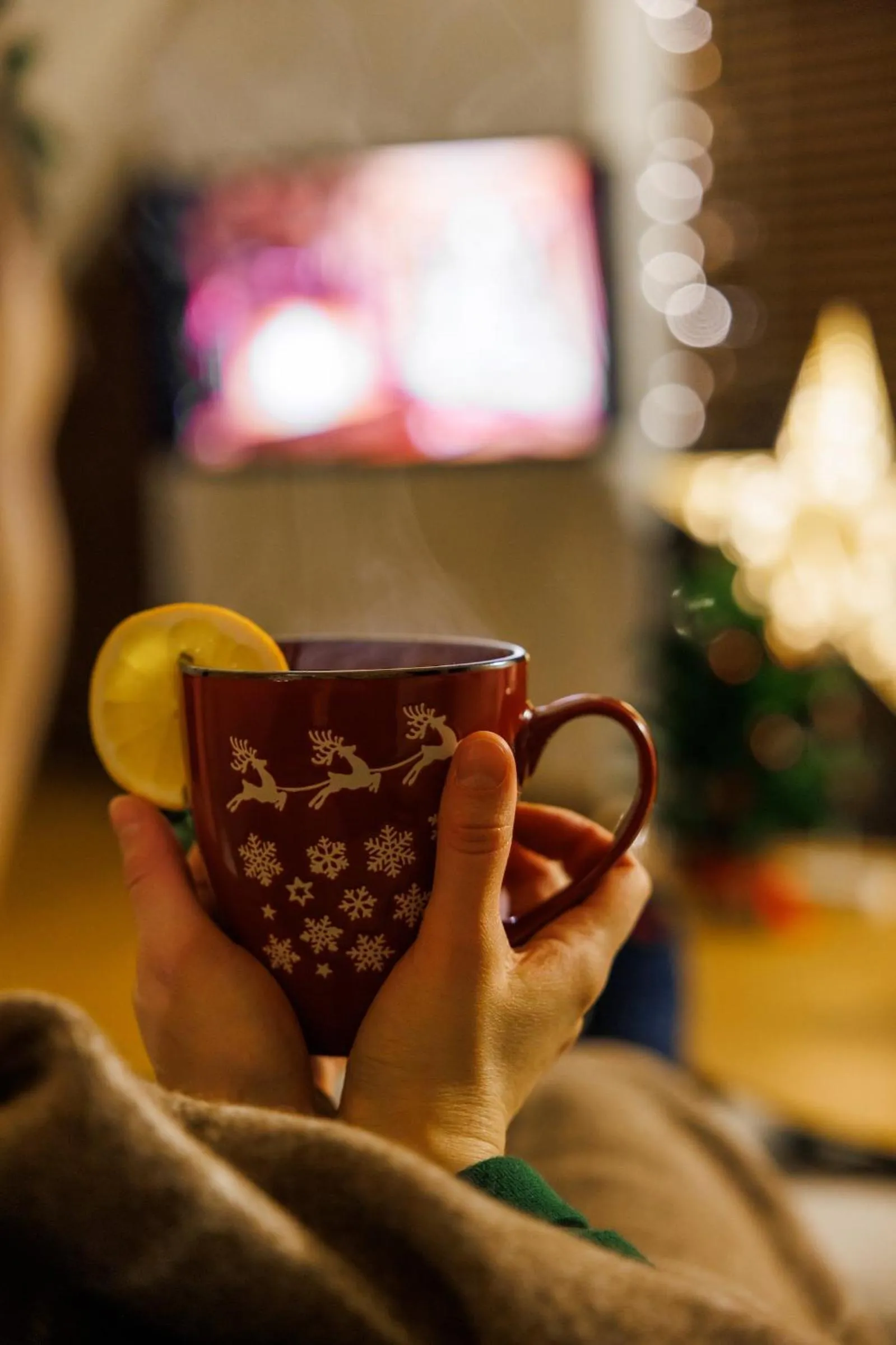 Living room in Visit Nida Apartments