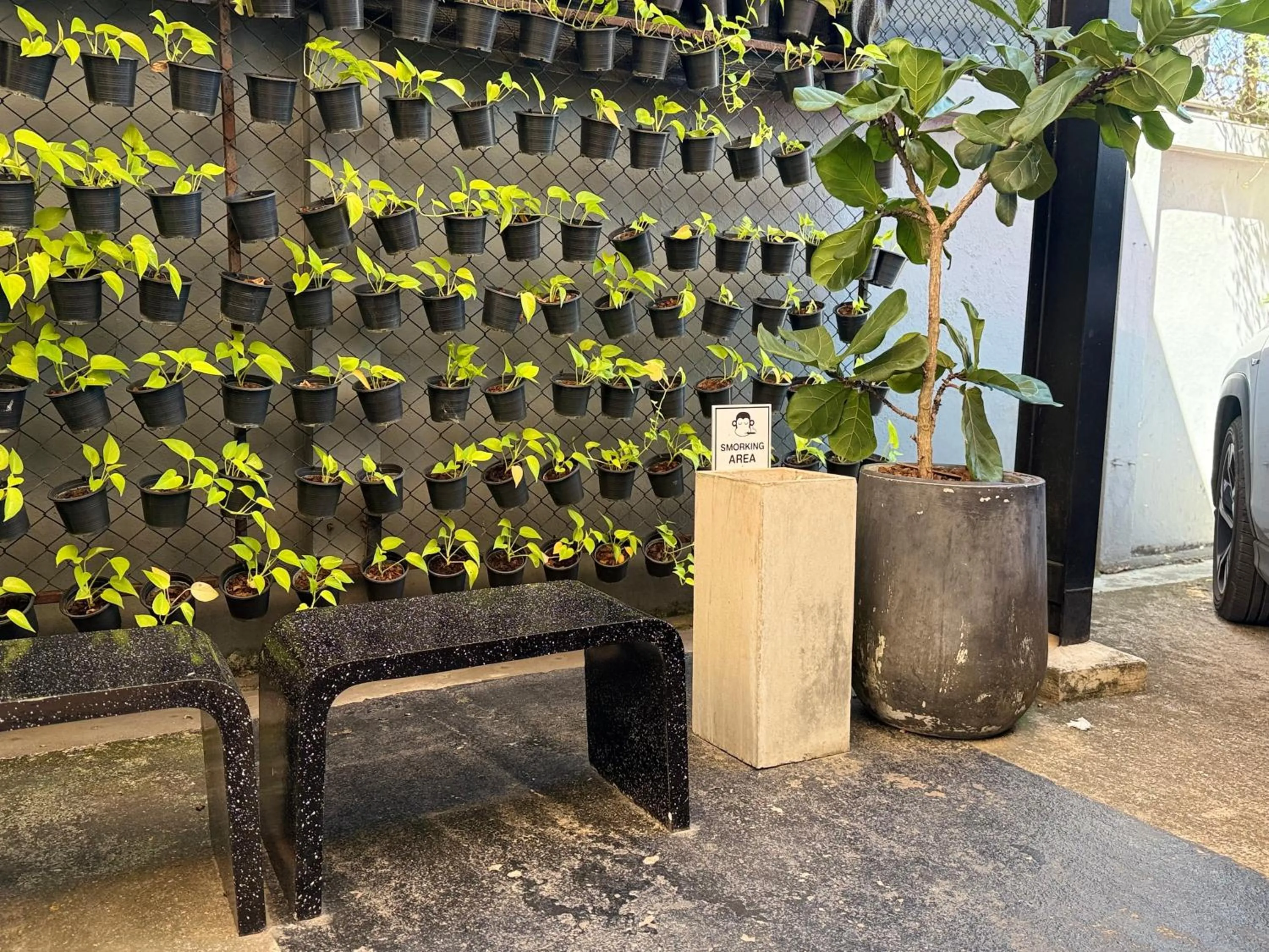 Blu Monkey Hotel Surat Thani