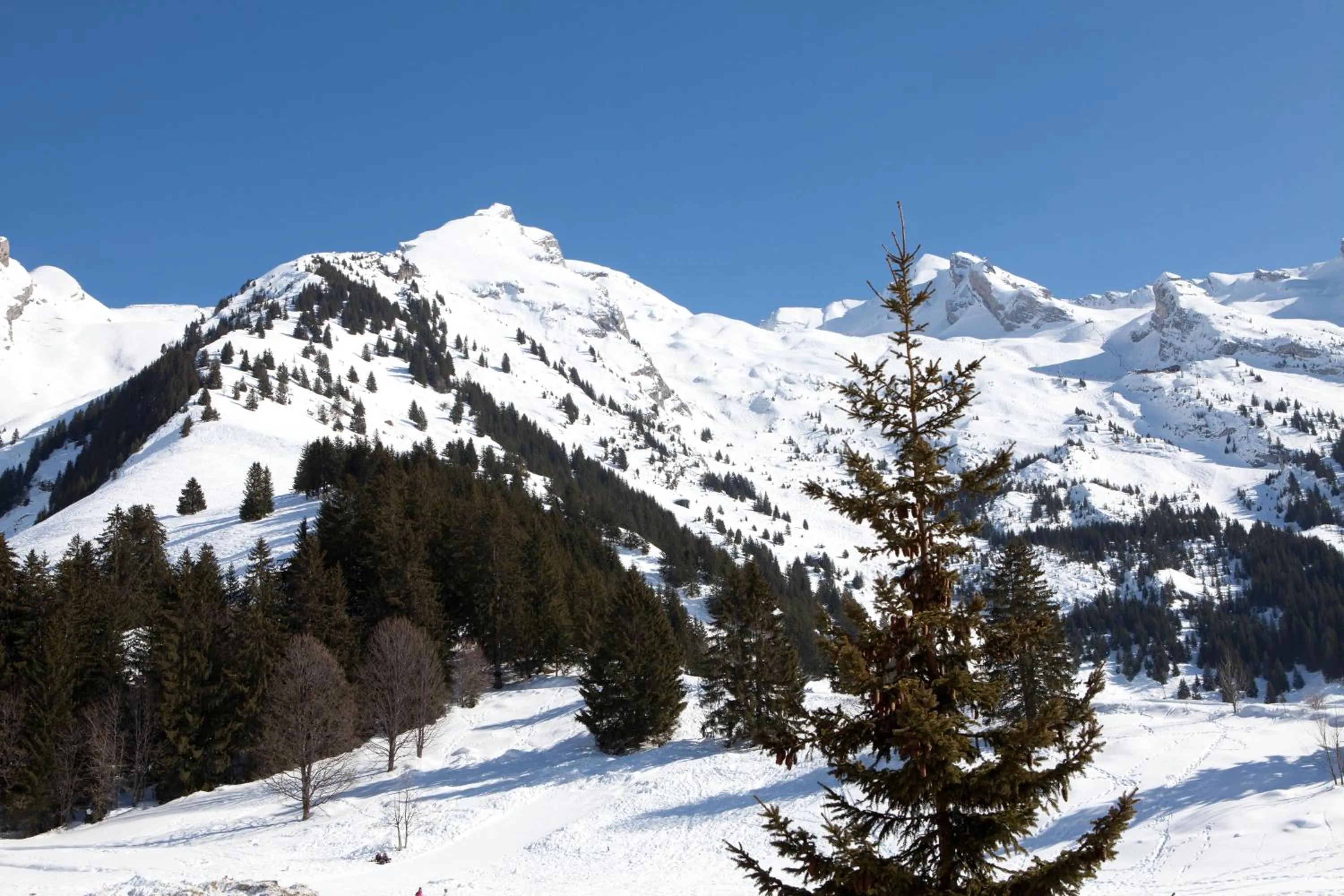 Natural landscape in Résidence Azureva La Clusaz les Aravis
