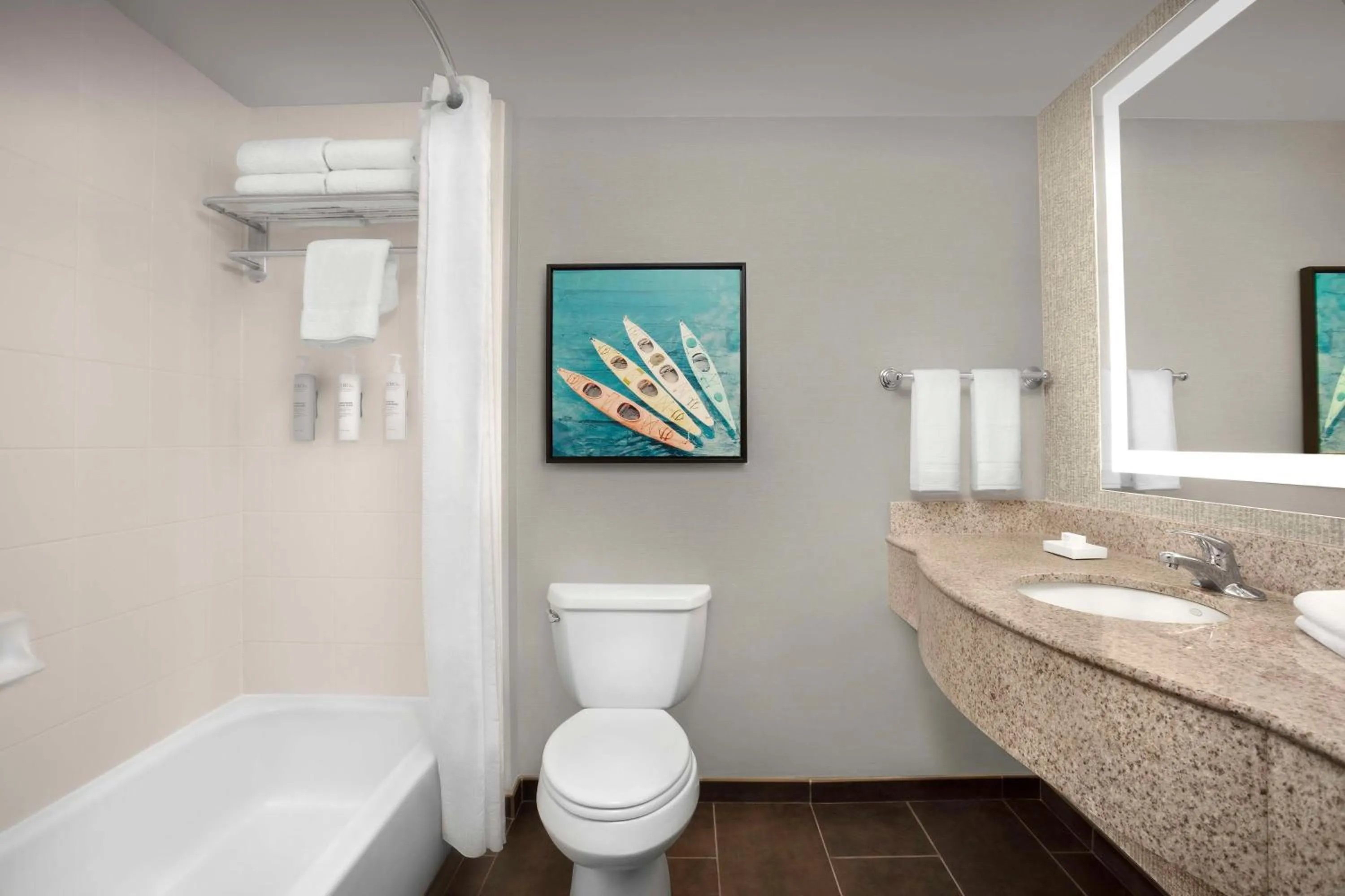 Bathroom in Hilton Garden Inn Gainesville