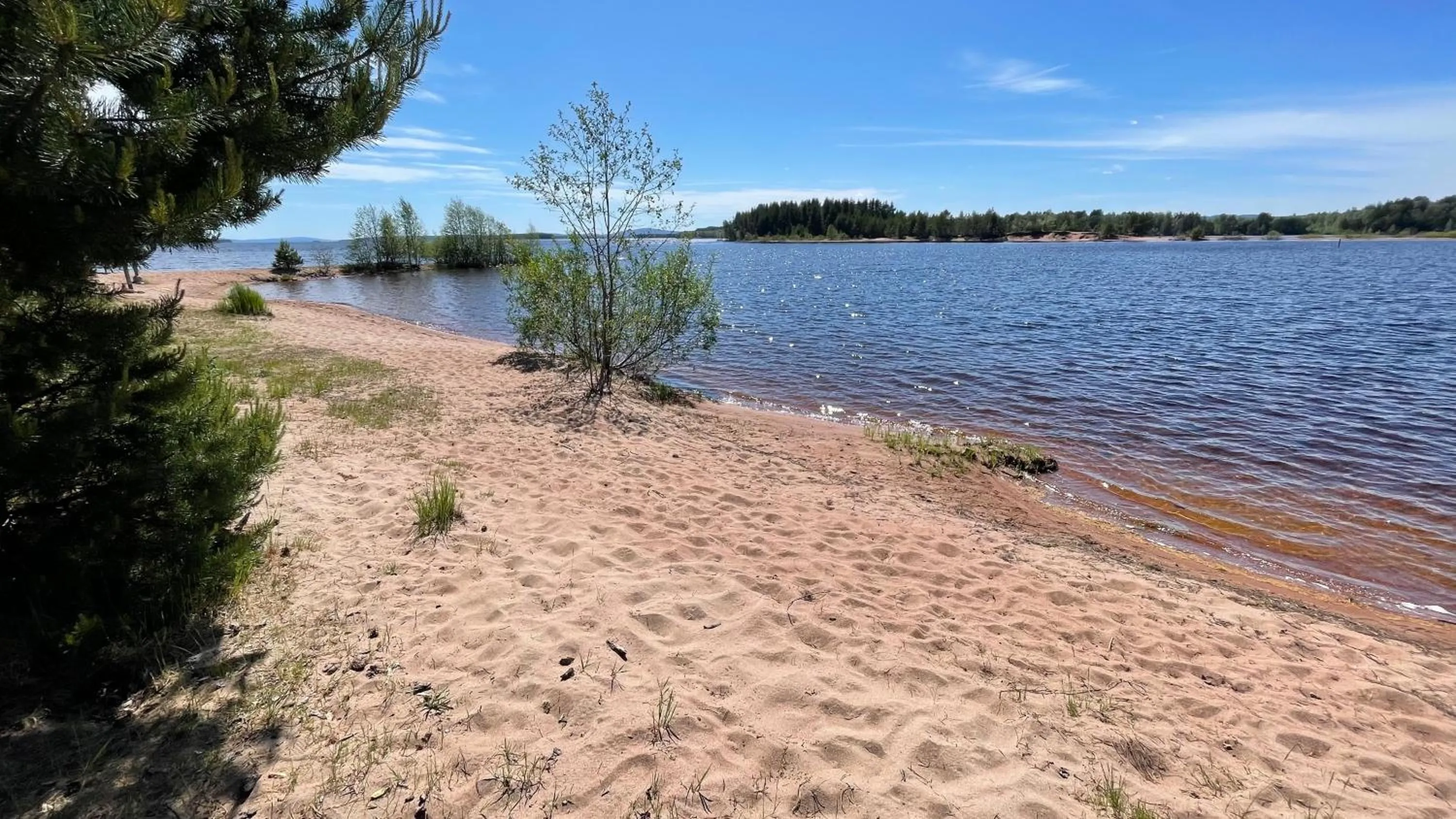 Prinsgården B&B rum stugor