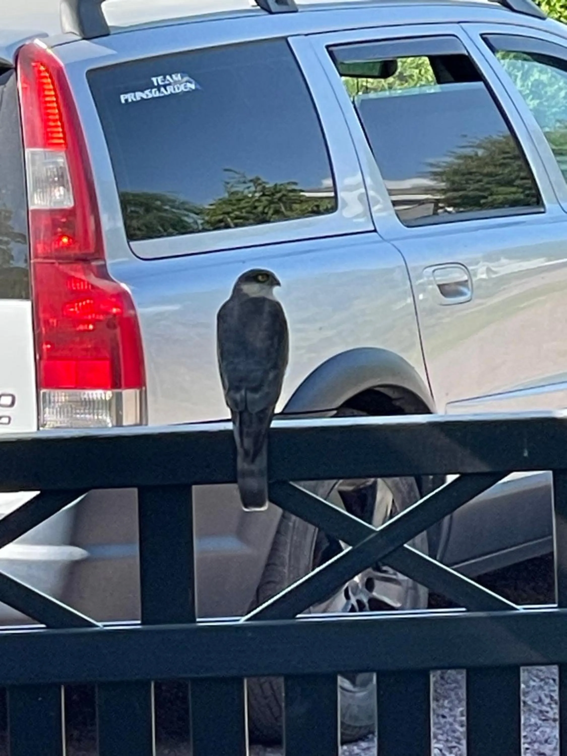 Prinsgården B&B rum stugor