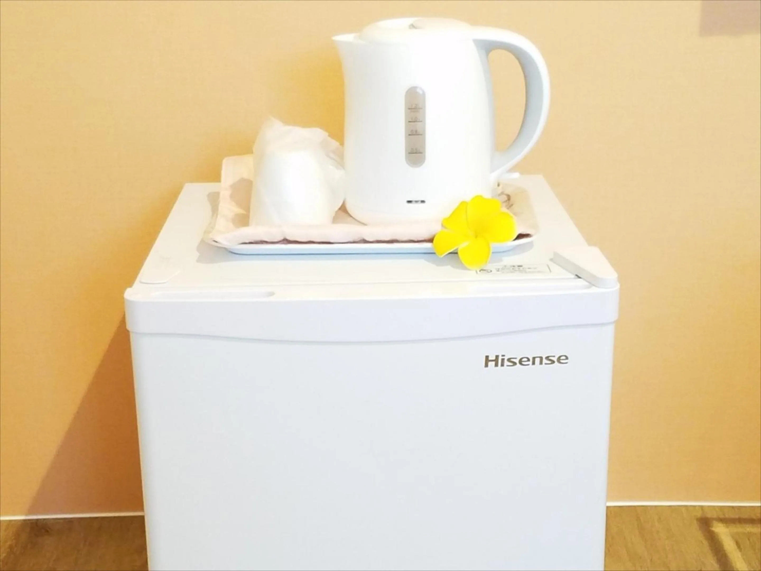 Area and facilities in Hotel Palm Tree Hill