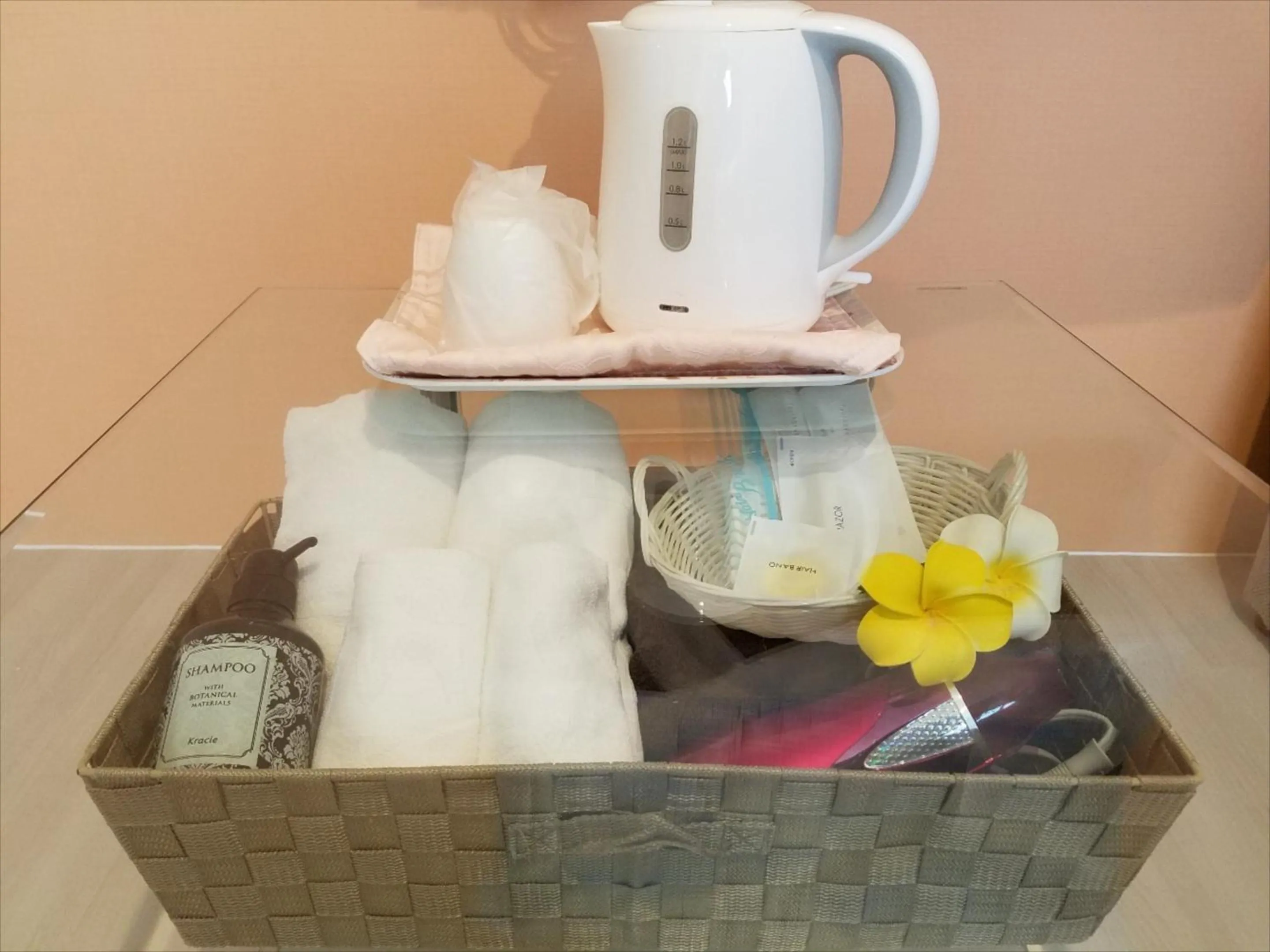 Area and facilities in Hotel Palm Tree Hill