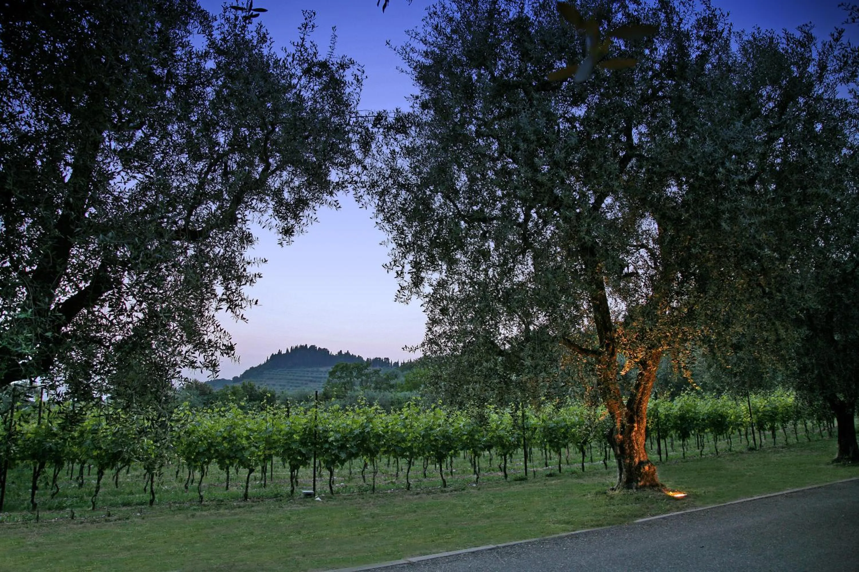 View (from property/room) in La Zerla