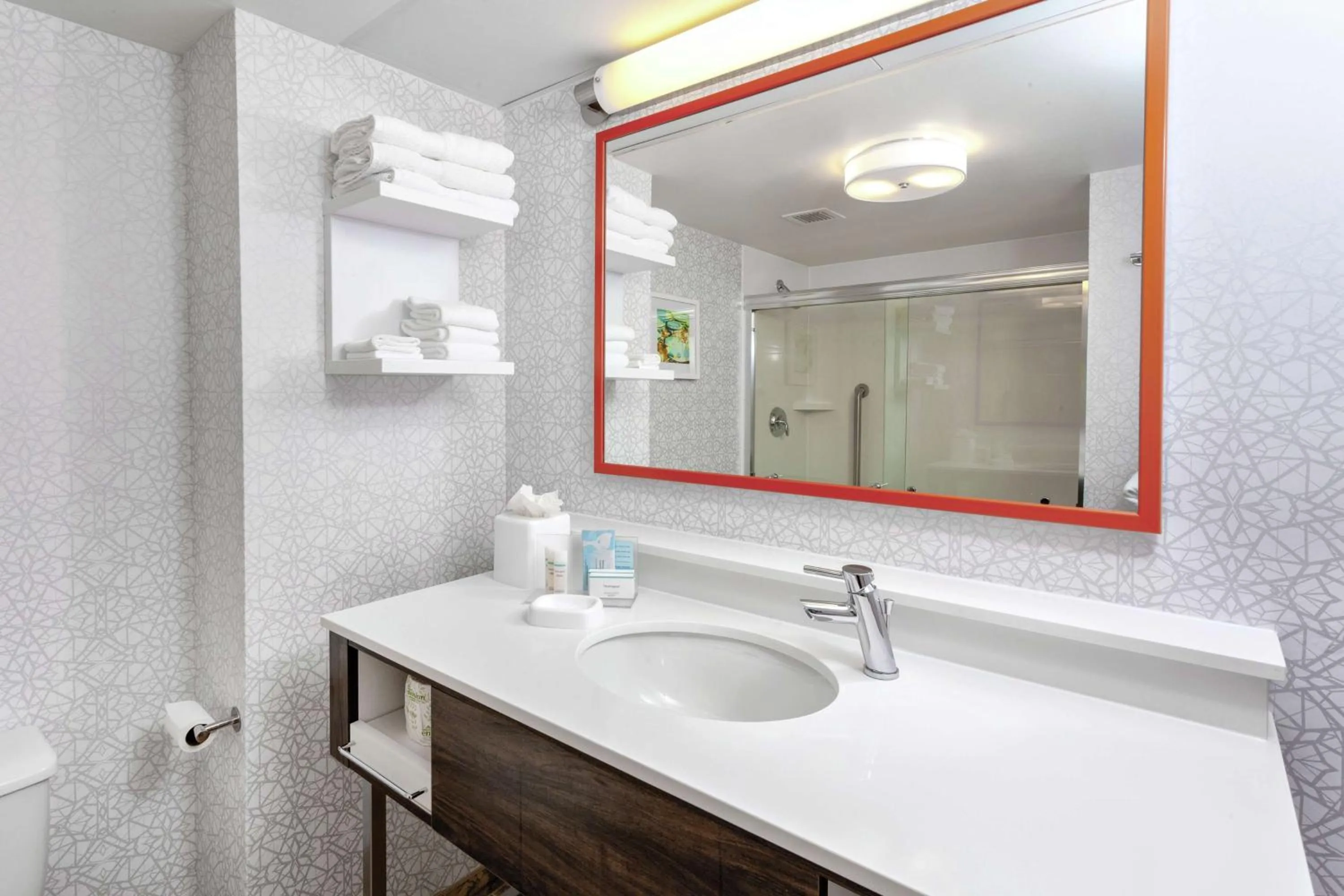 Bathroom in Hampton Inn Gainesville