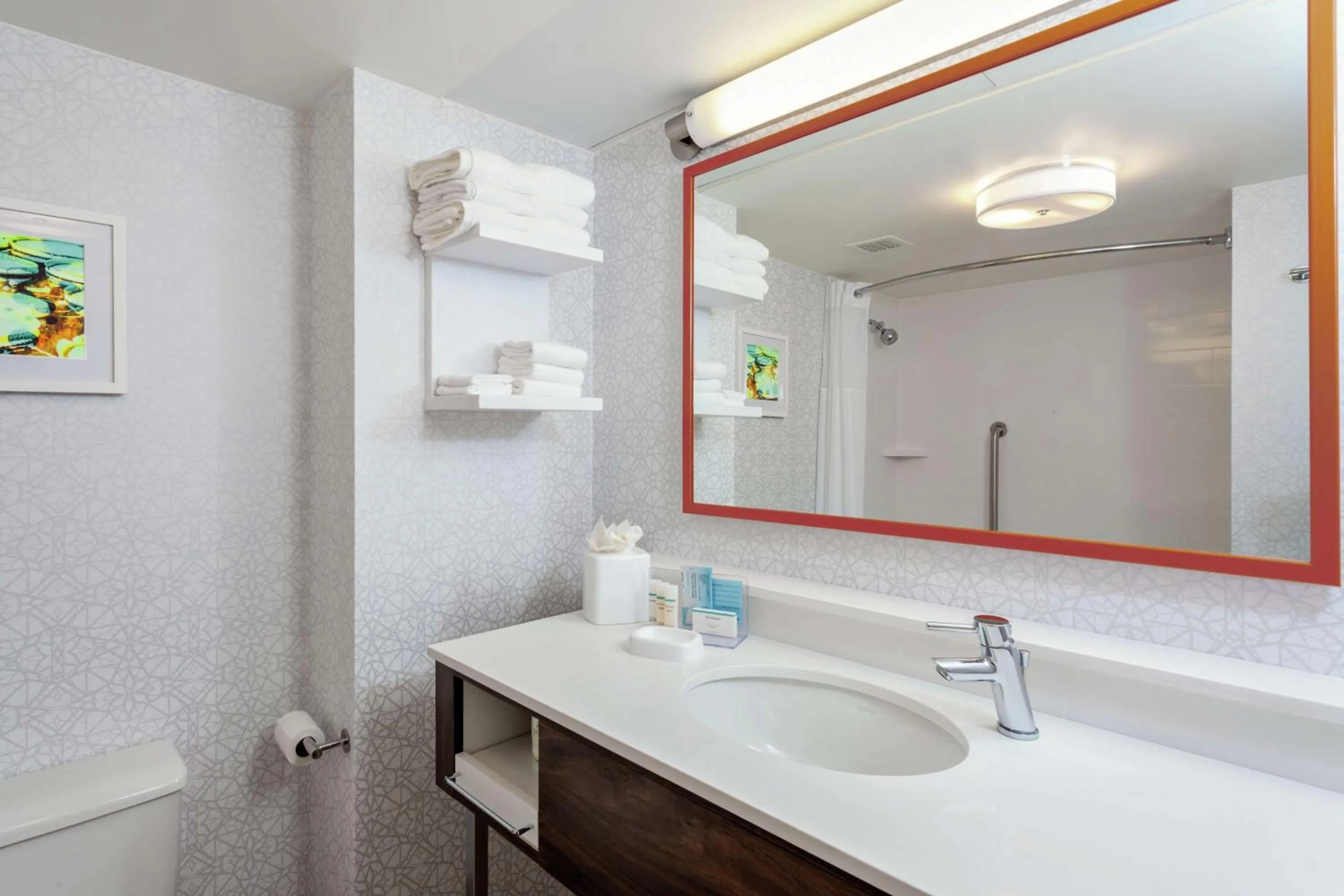 Bathroom in Hampton Inn Gainesville