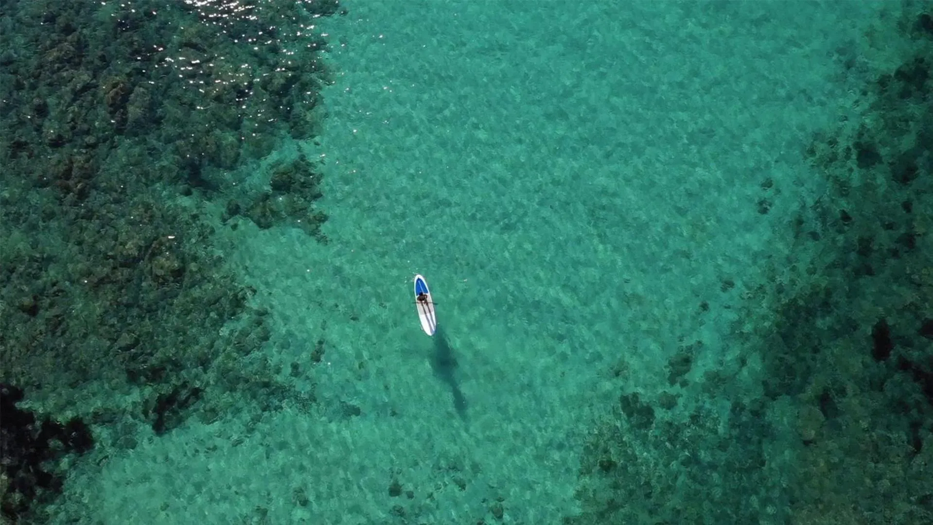 Activities in Son Caliu Apartamentos