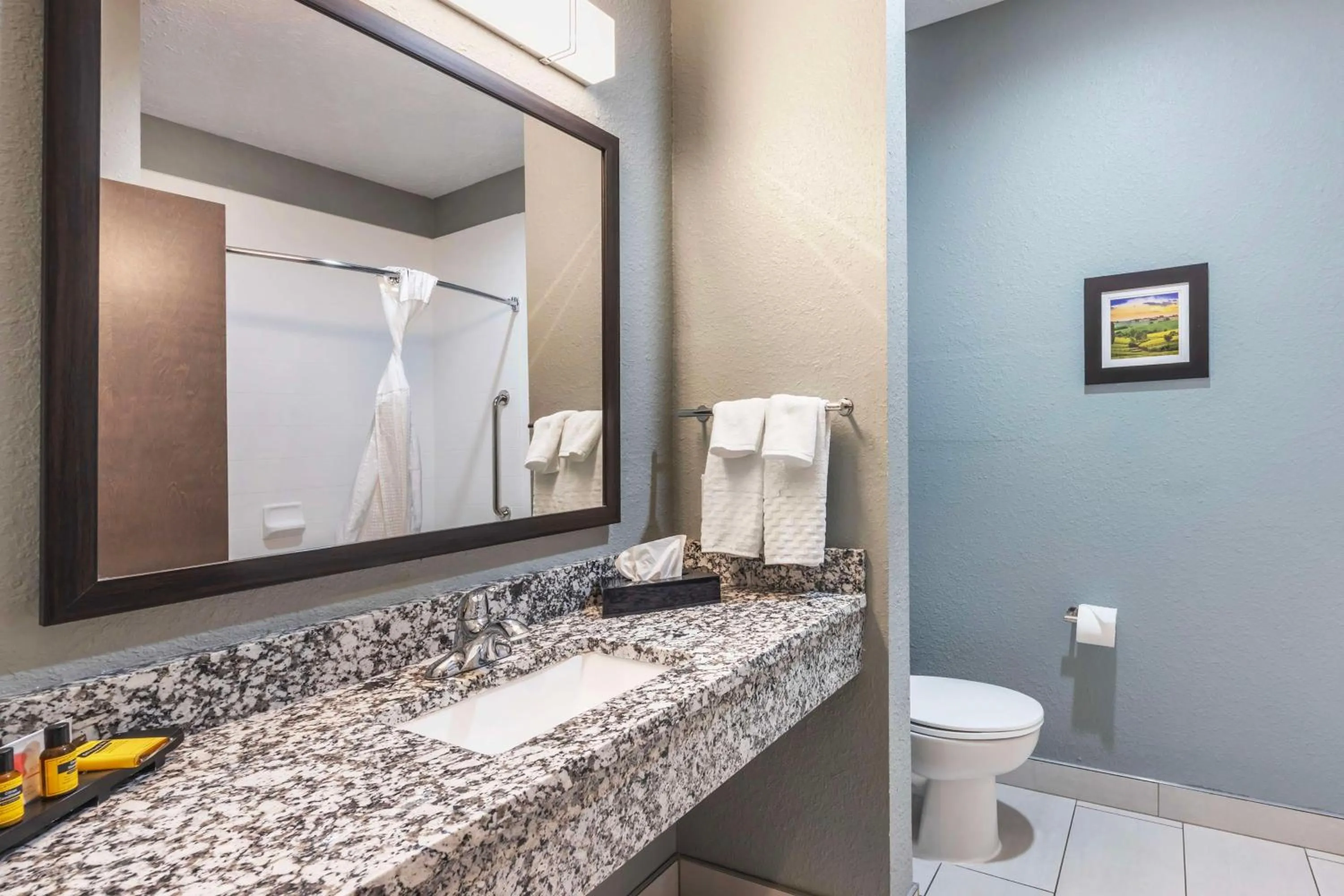 Bathroom in Best Western Plus Owensboro