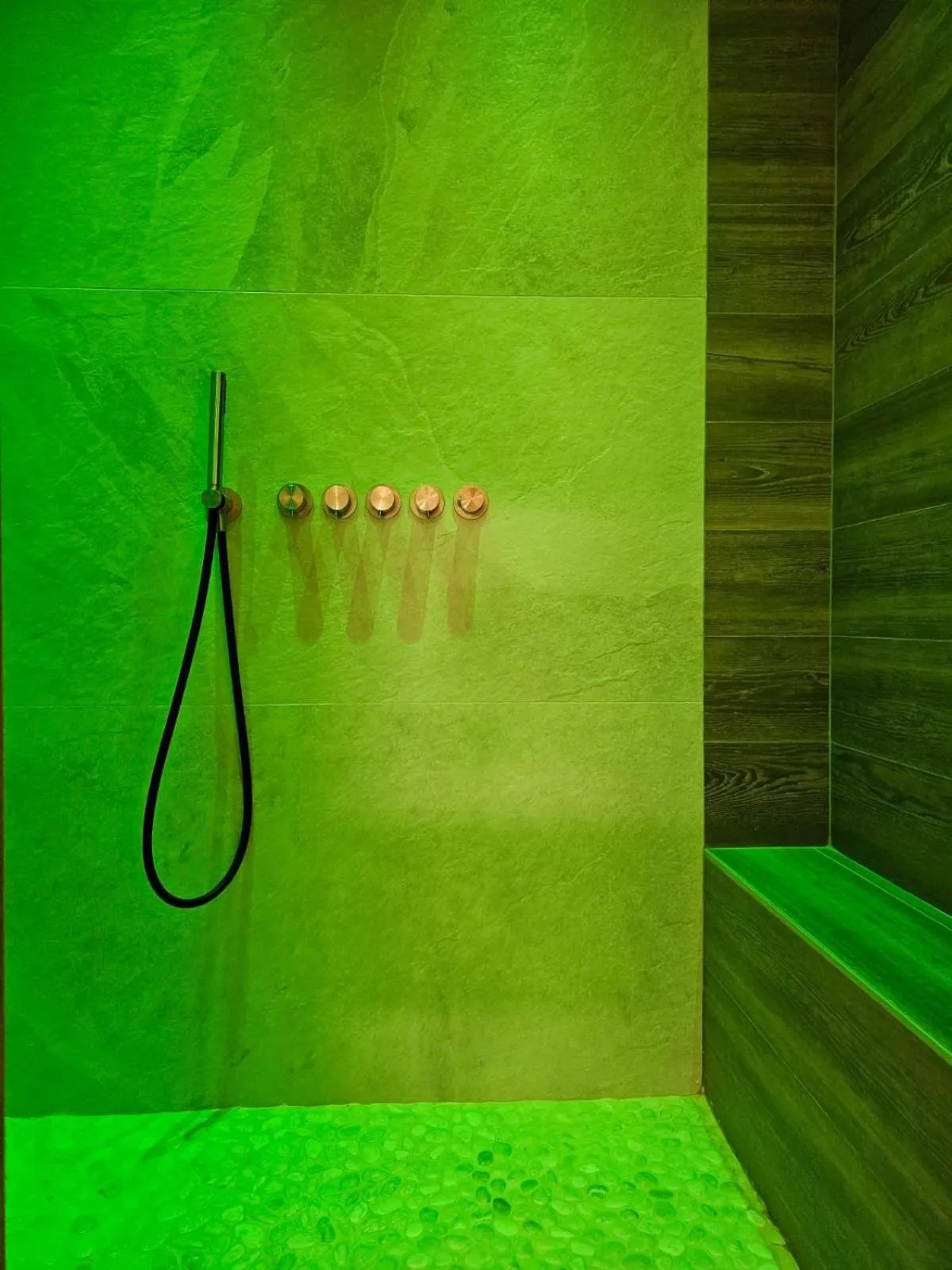 Spa and wellness centre/facilities in Hotel Barance