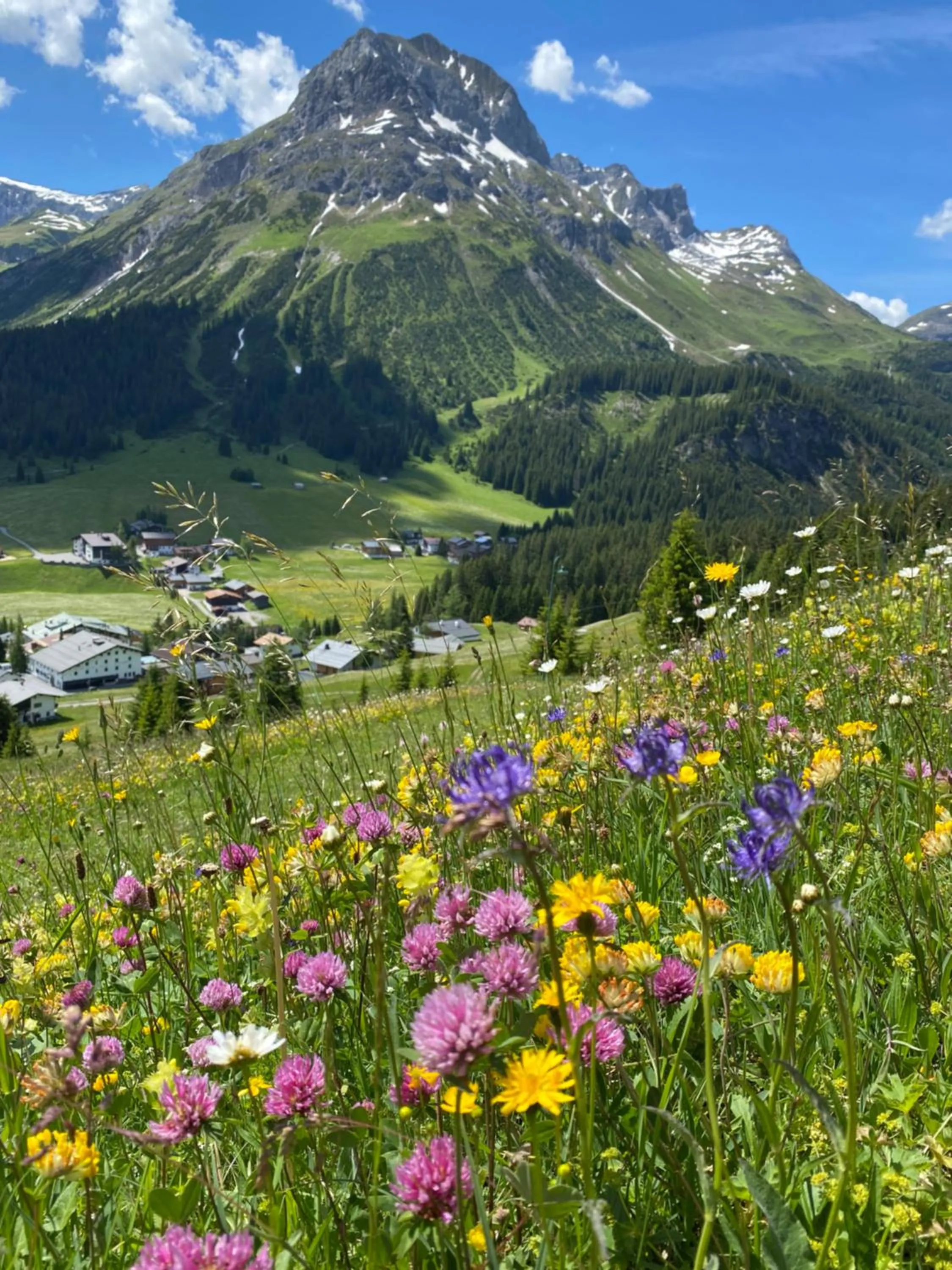 Natural landscape in Haus Schrofenstein