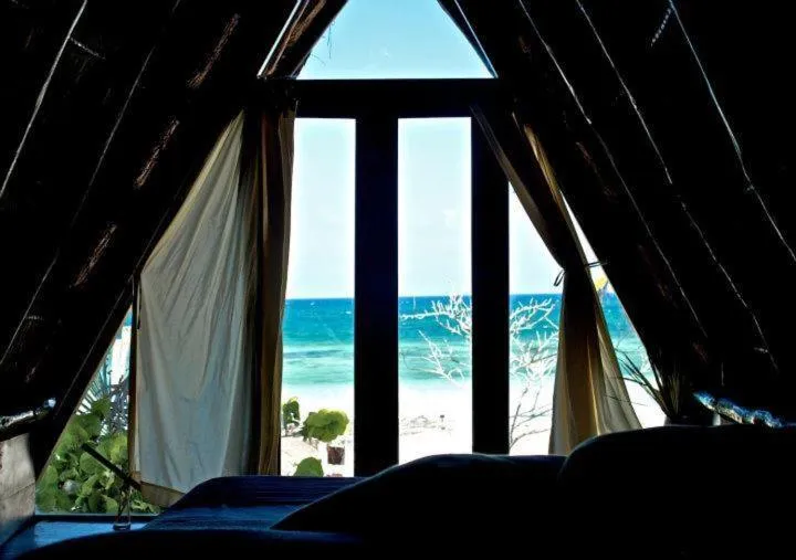 View (from property/room) in Playa Selva