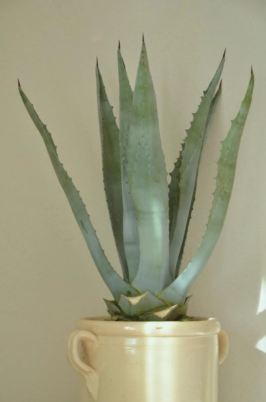 Bedroom in B&B La Casa Pugliese