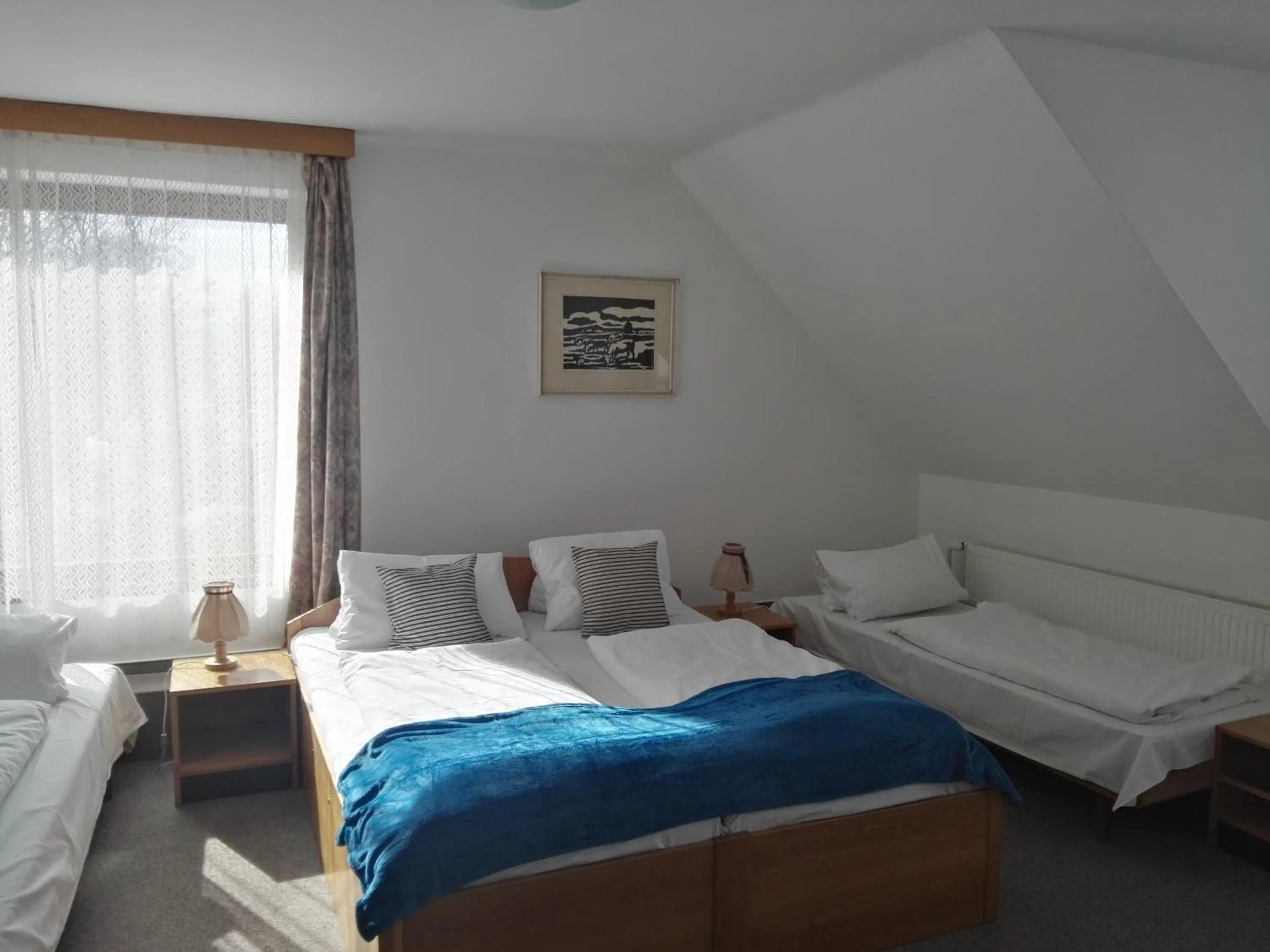 Bed in Hotel Jestřábí