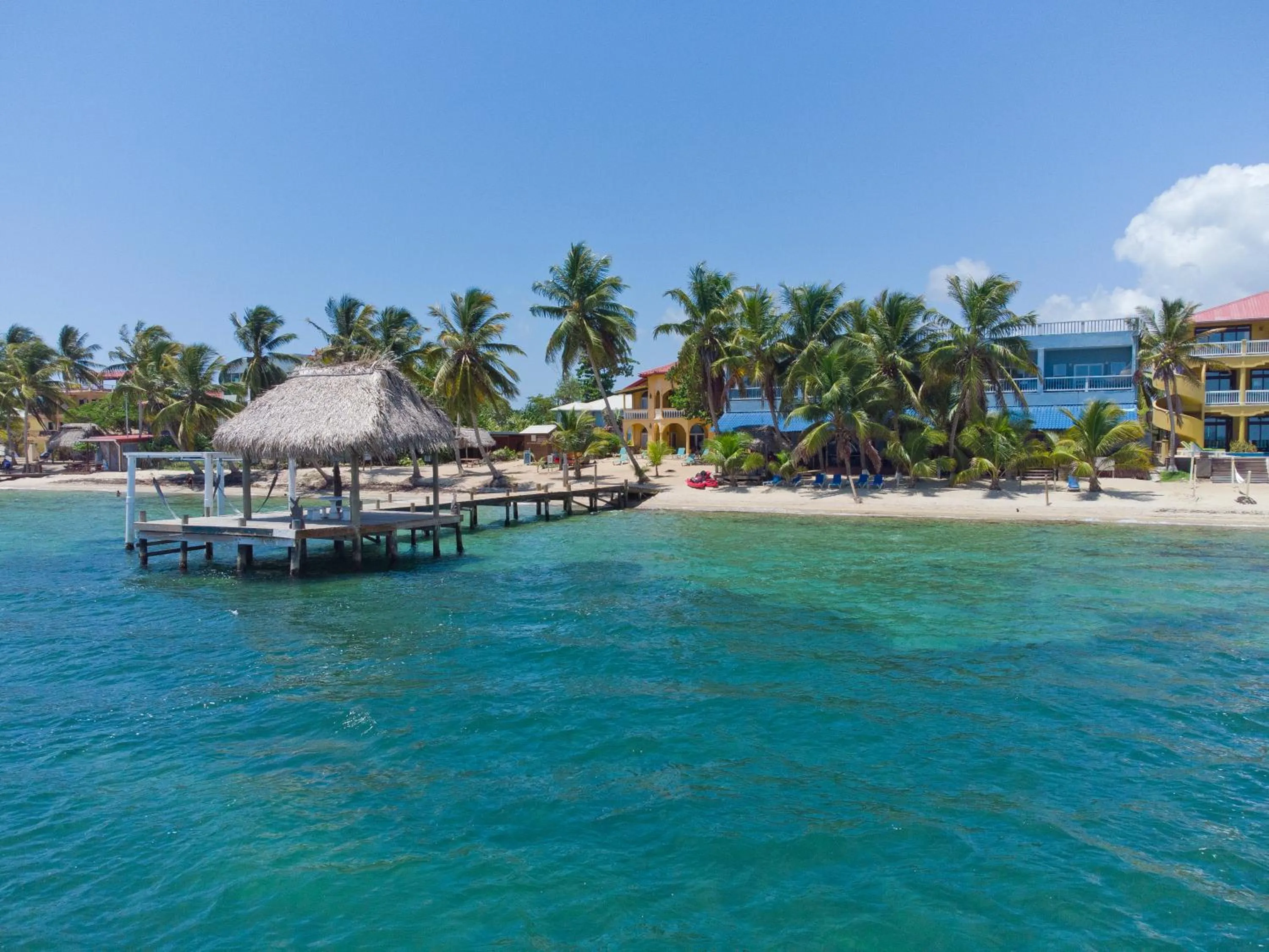 Beach in Parrot Cove Lodge