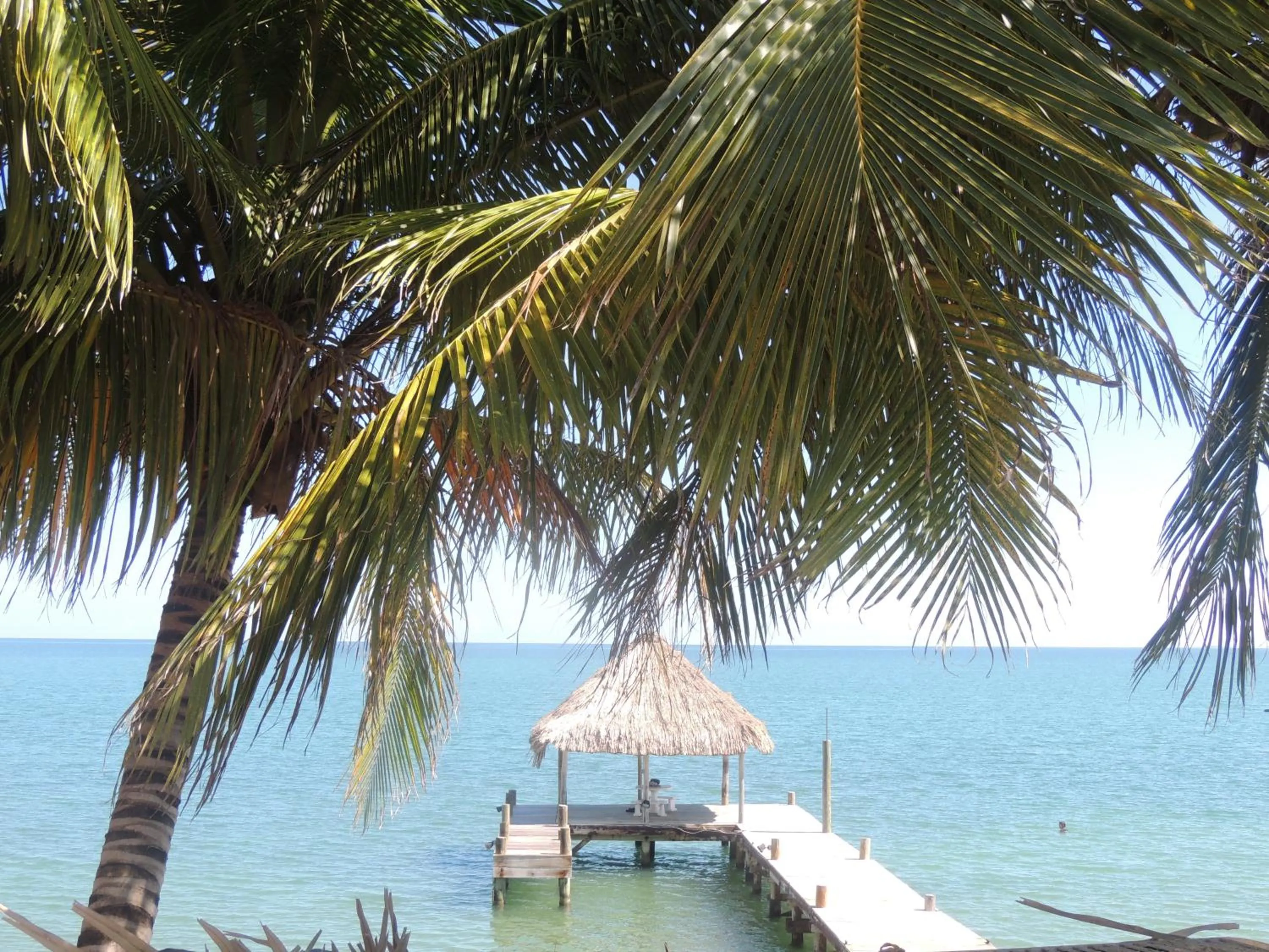 On site in Parrot Cove Lodge