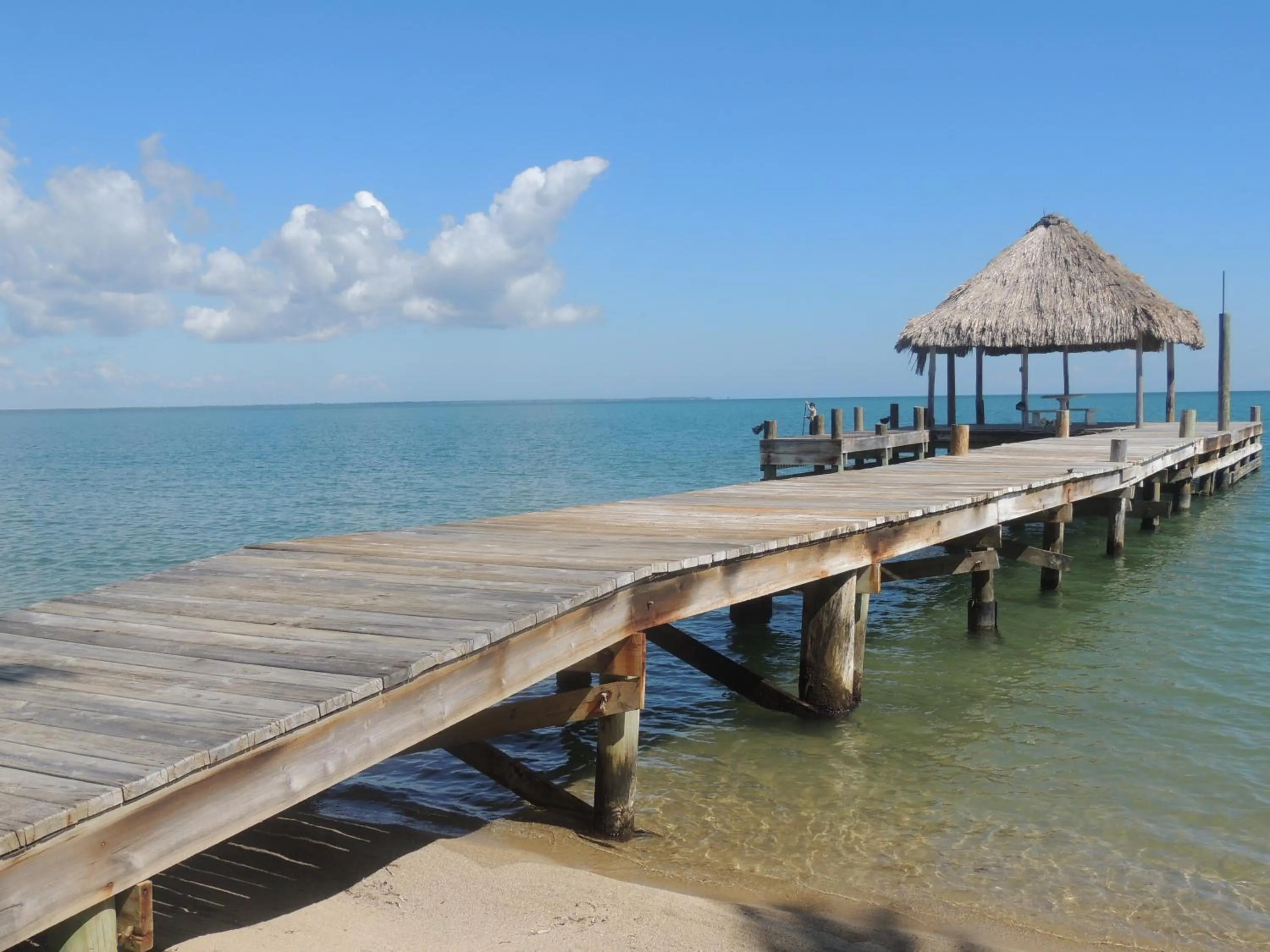 Activities in Parrot Cove Lodge