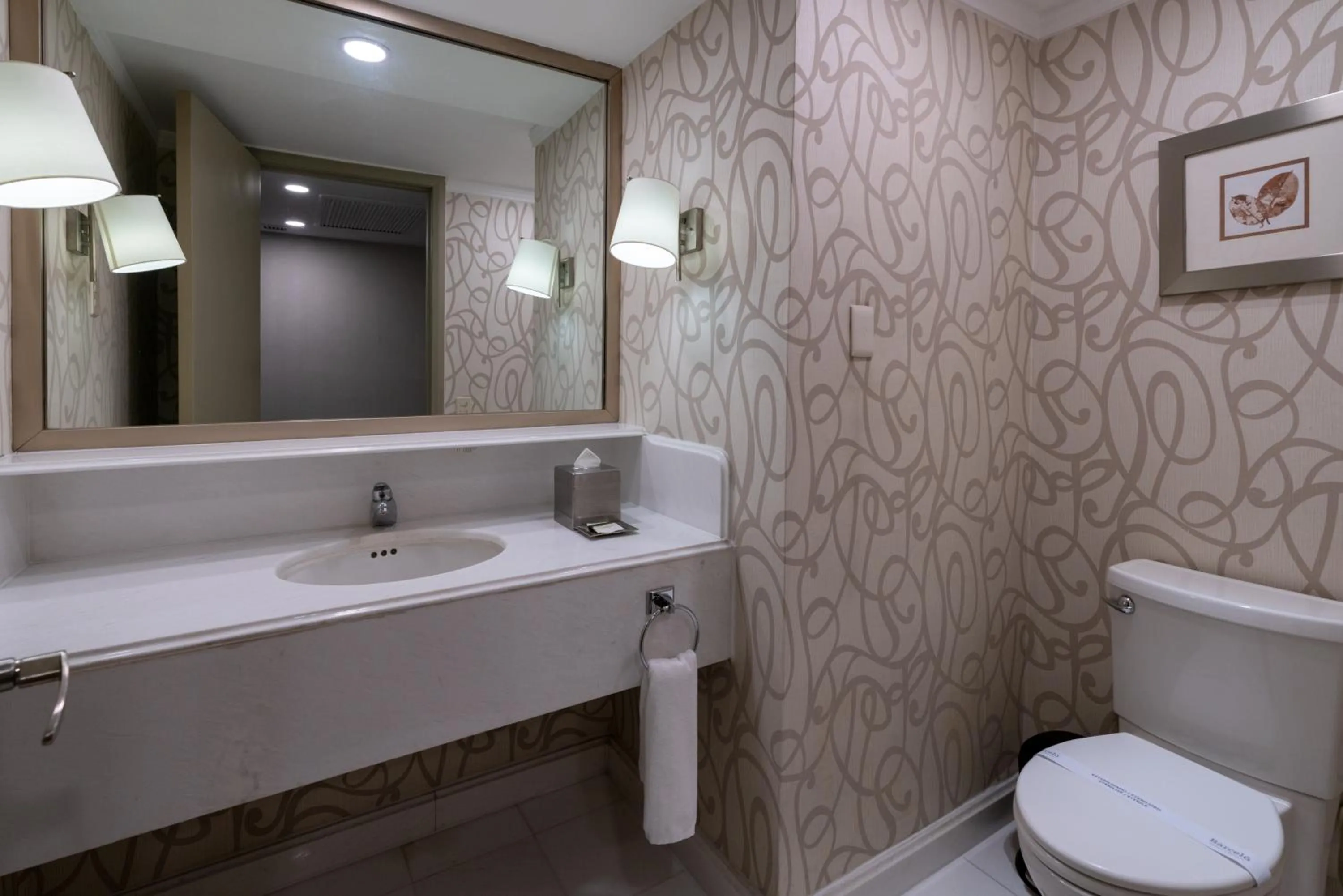 Bathroom in Barcelo Guadalajara