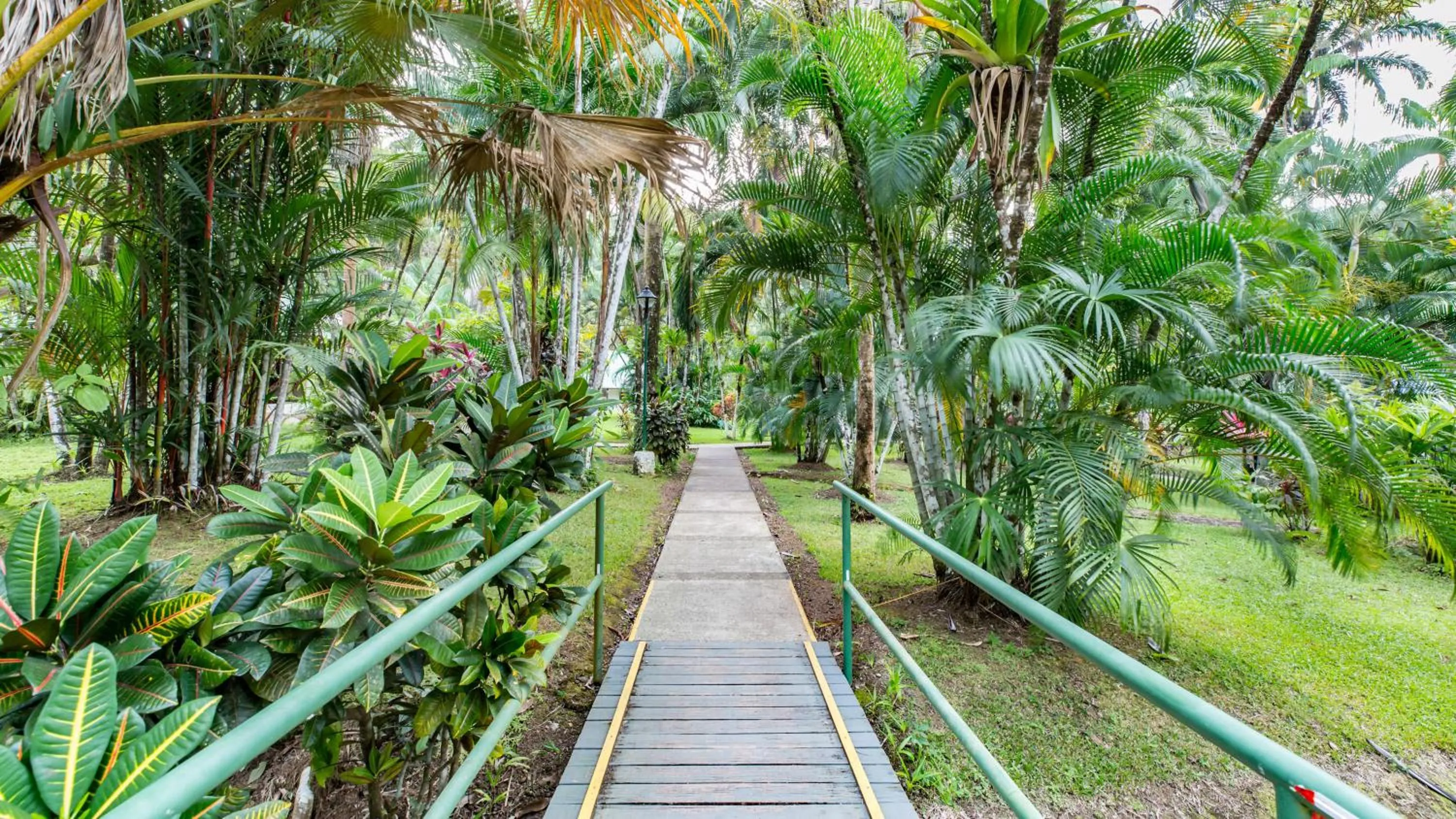 Garden in Hotel Villas Rio Mar