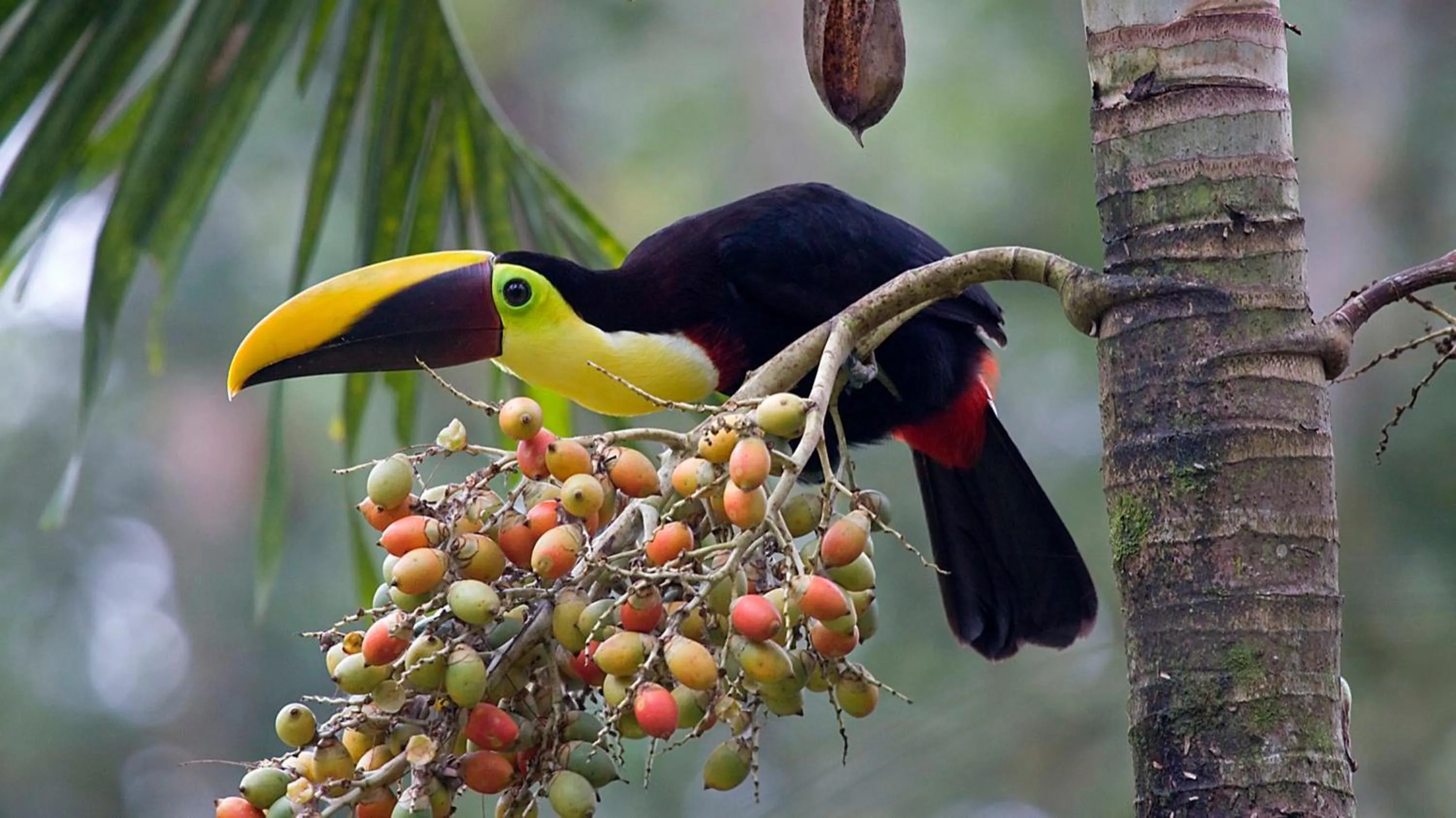 Activities in Hotel Villas Rio Mar