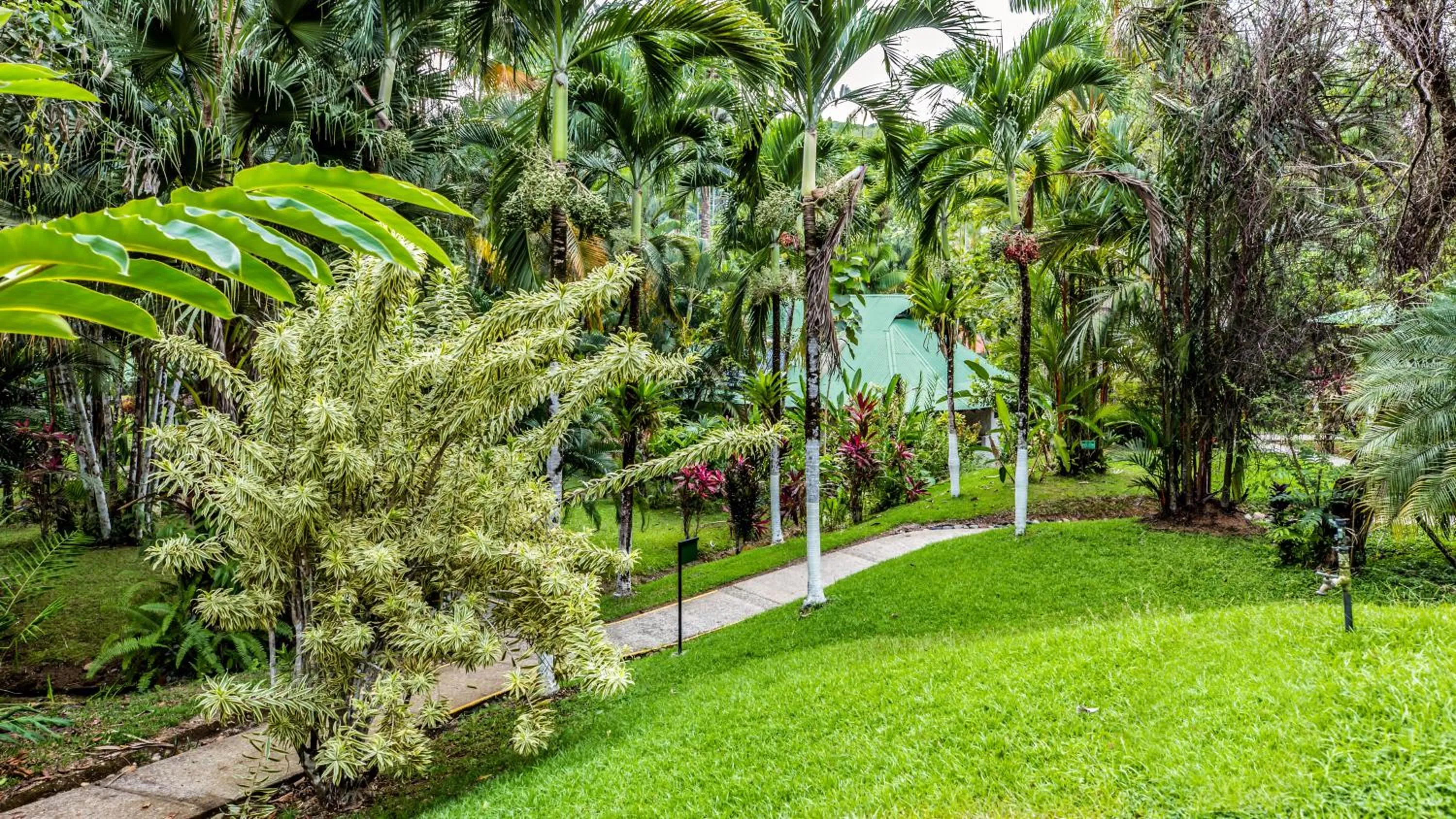 Natural landscape in Hotel Villas Rio Mar