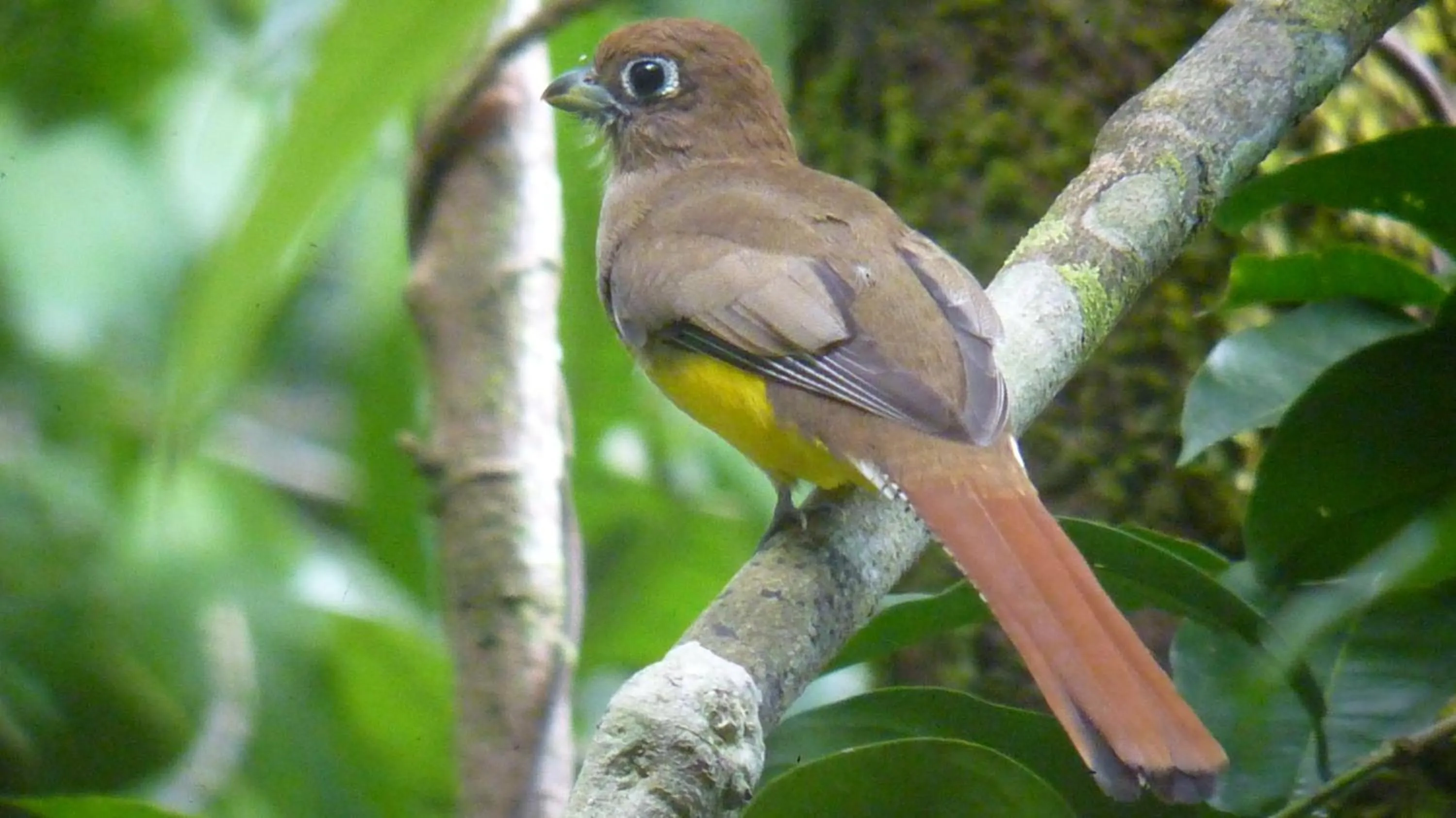 Natural landscape in Hotel Villas Rio Mar