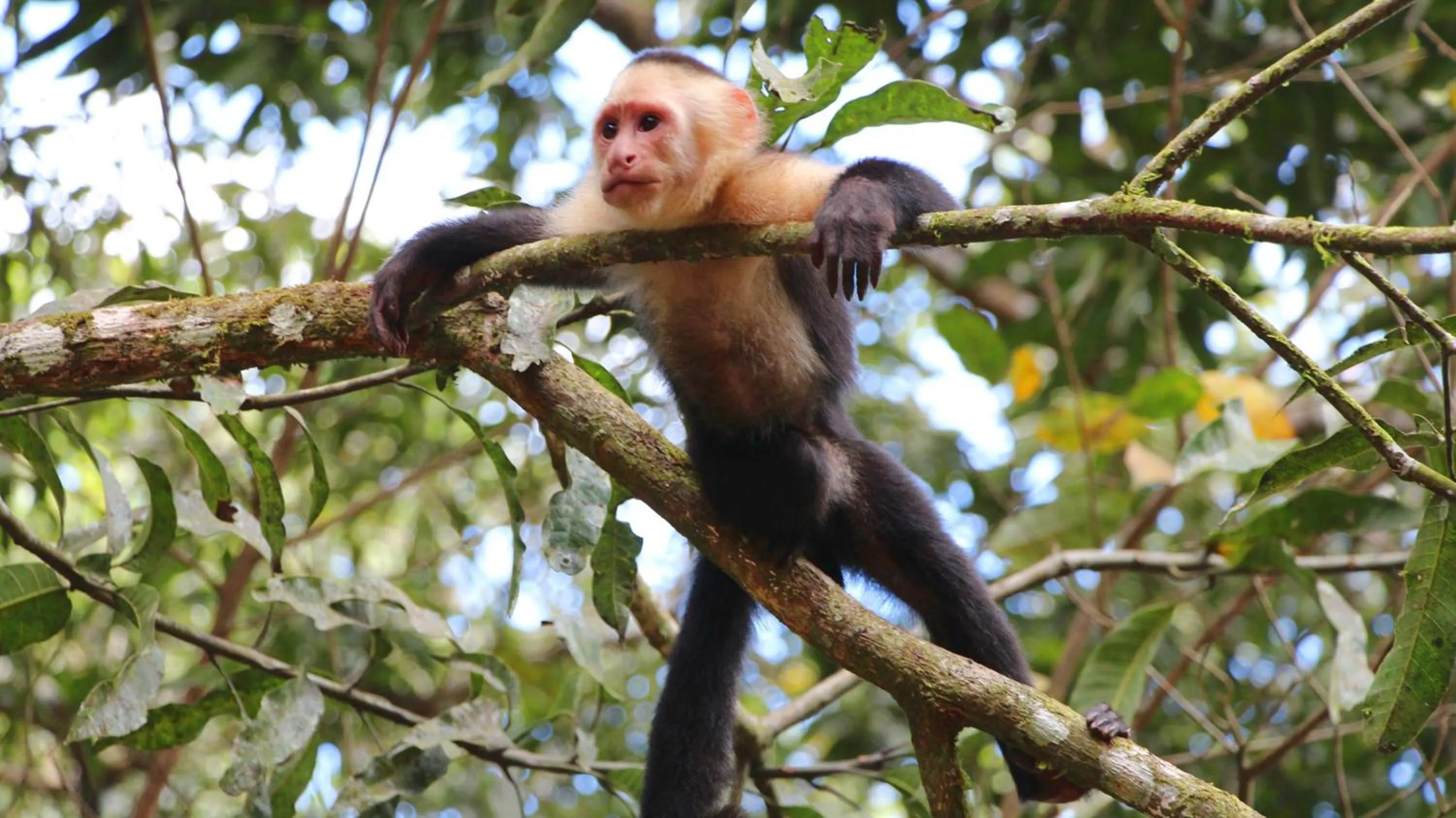 Natural landscape in Hotel Villas Rio Mar