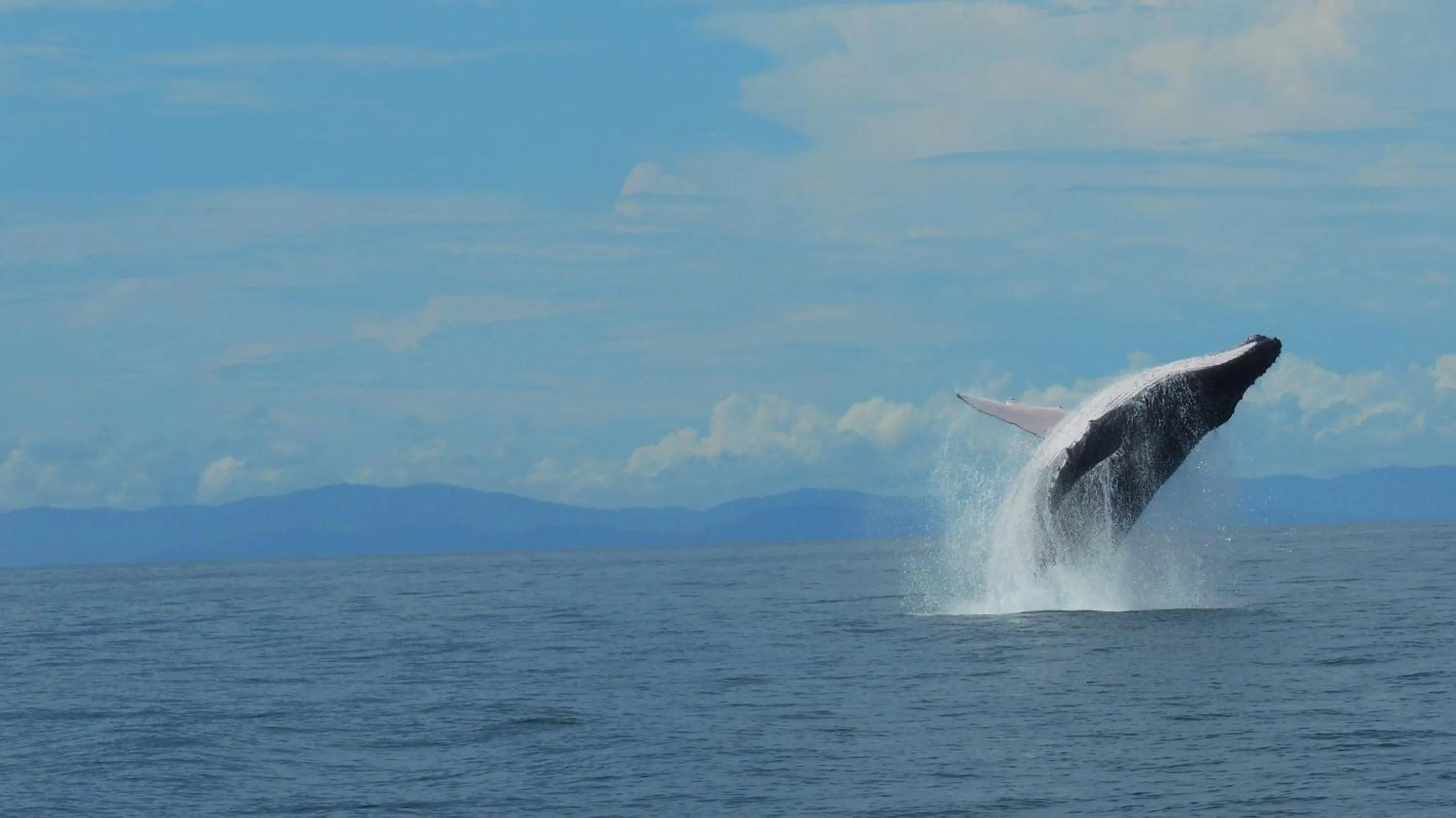 Natural landscape in Hotel Villas Rio Mar