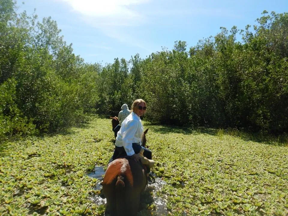 Horse-riding in Redwood Beach Resort