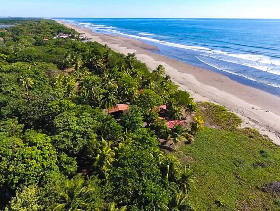 View (from property/room) in Redwood Beach Resort
