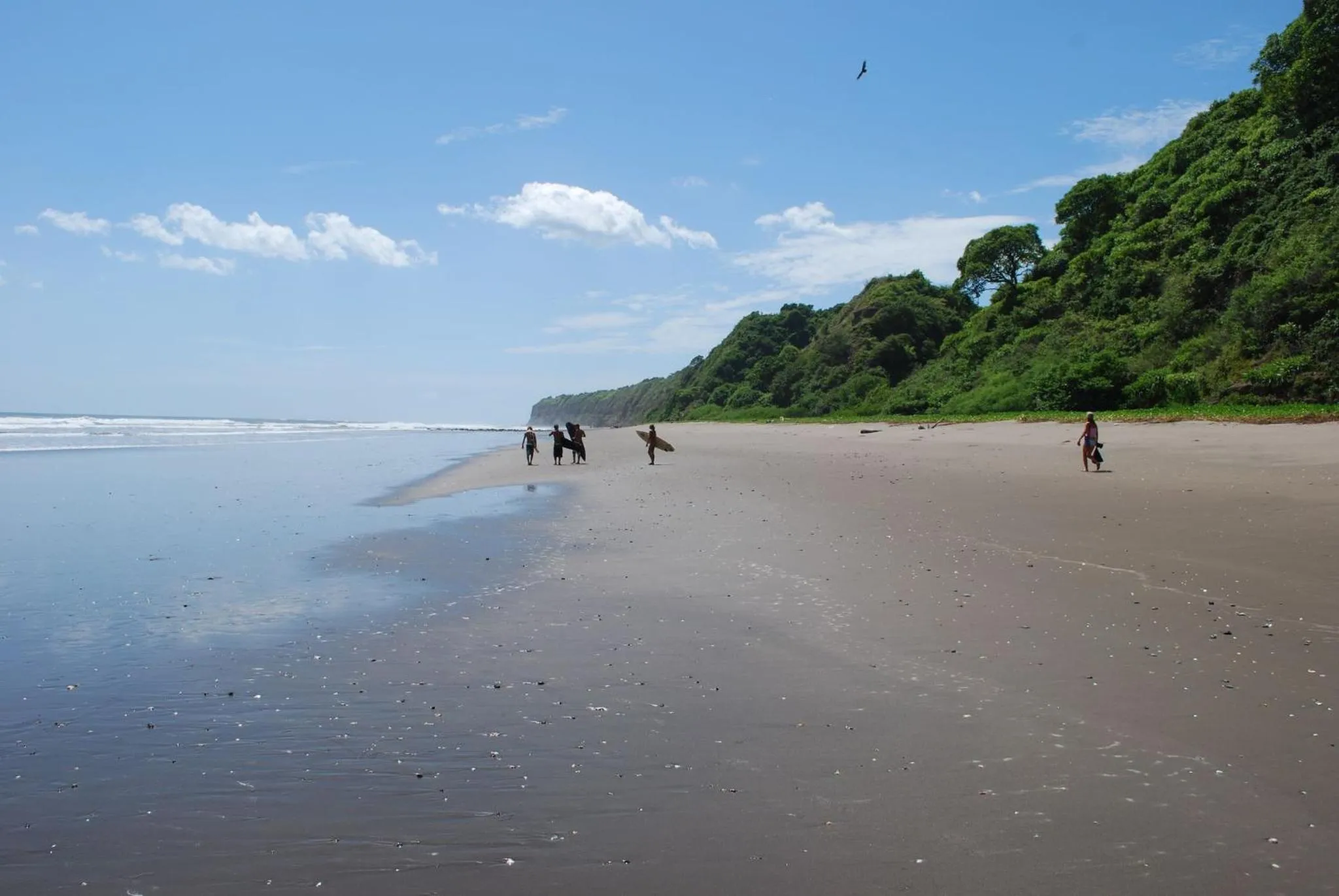 Natural landscape in Redwood Beach Resort