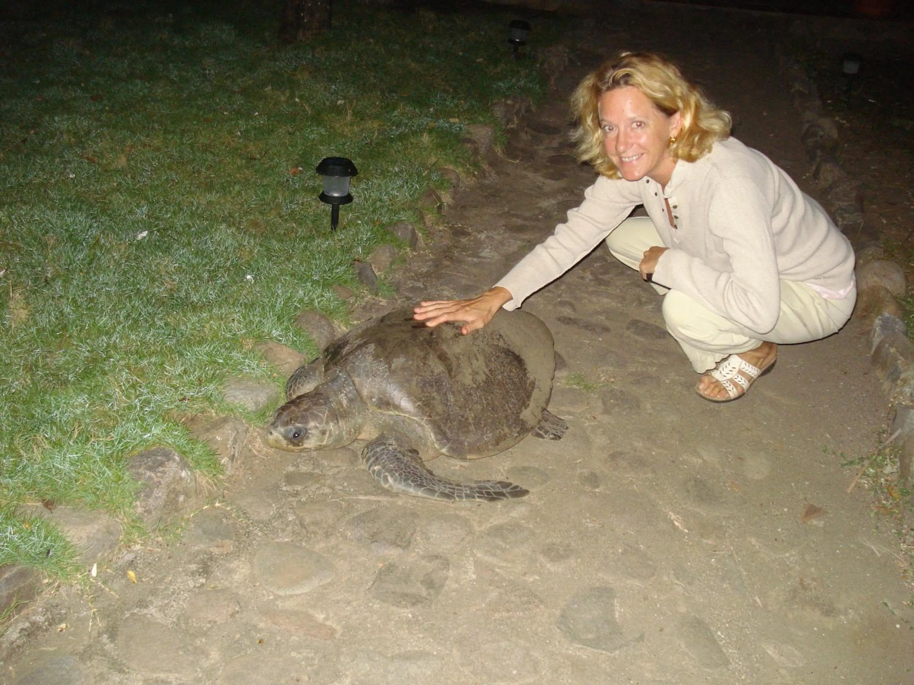 Animals in Redwood Beach Resort