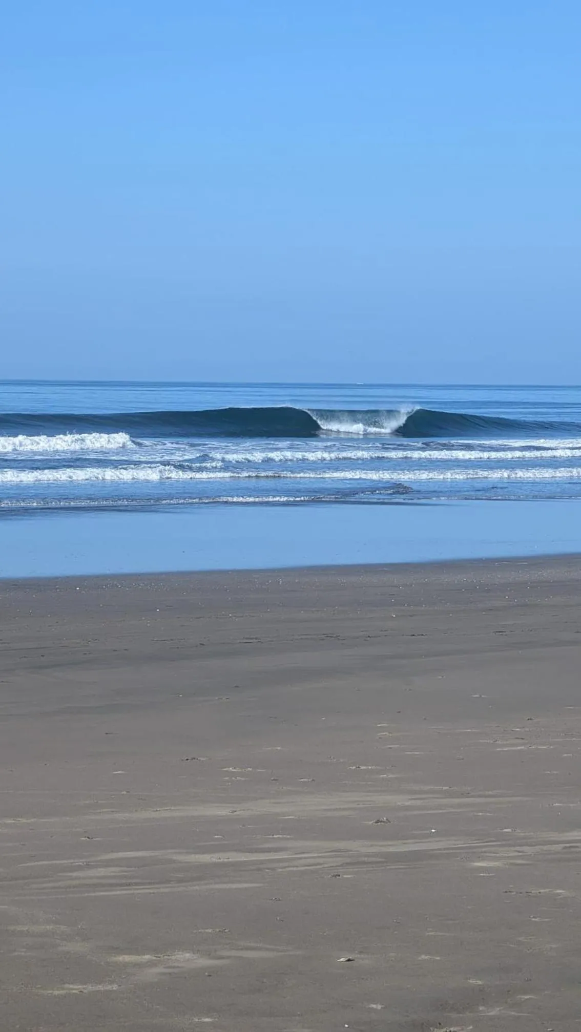 Day in Redwood Beach Resort