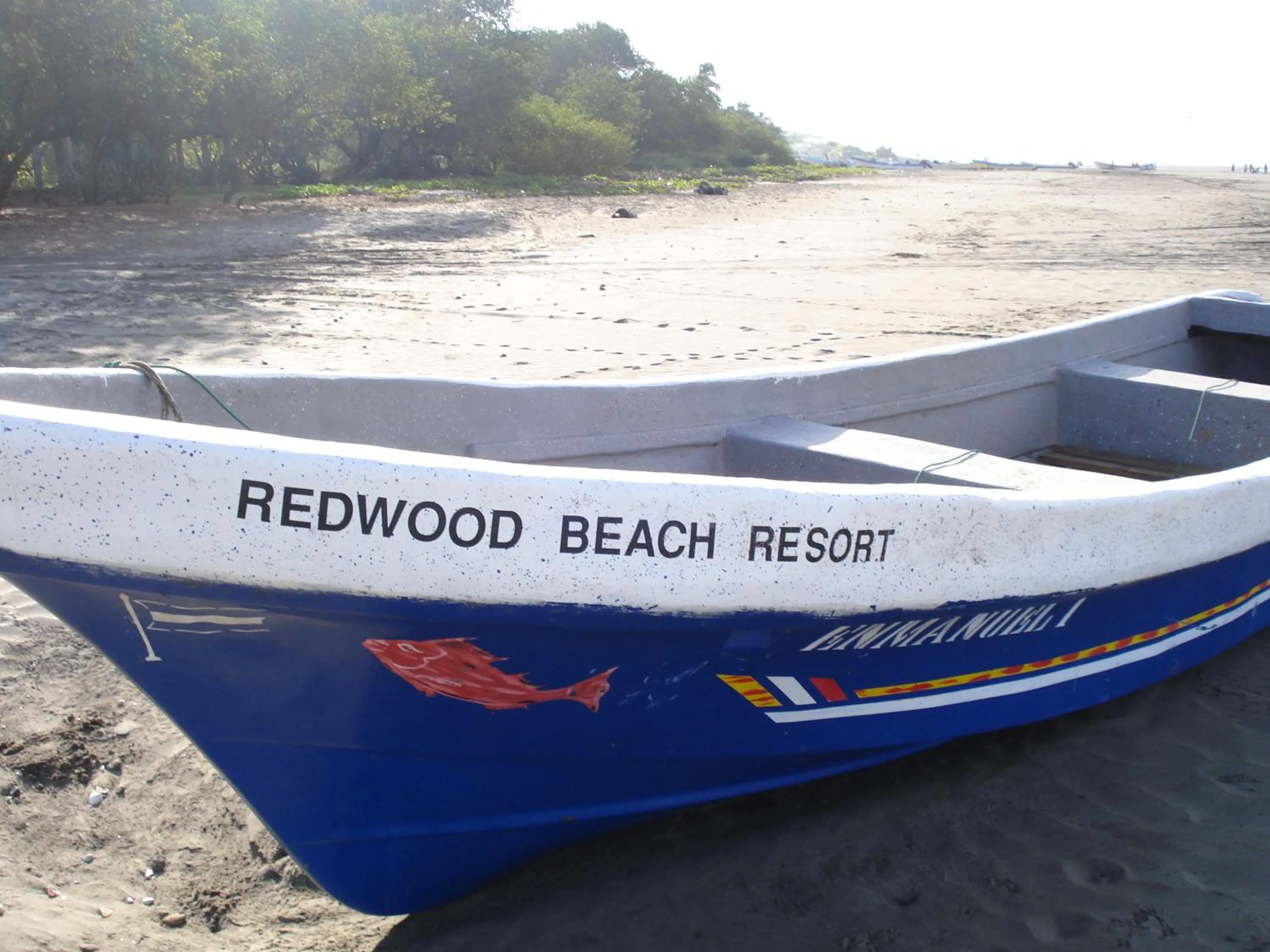 Fishing in Redwood Beach Resort