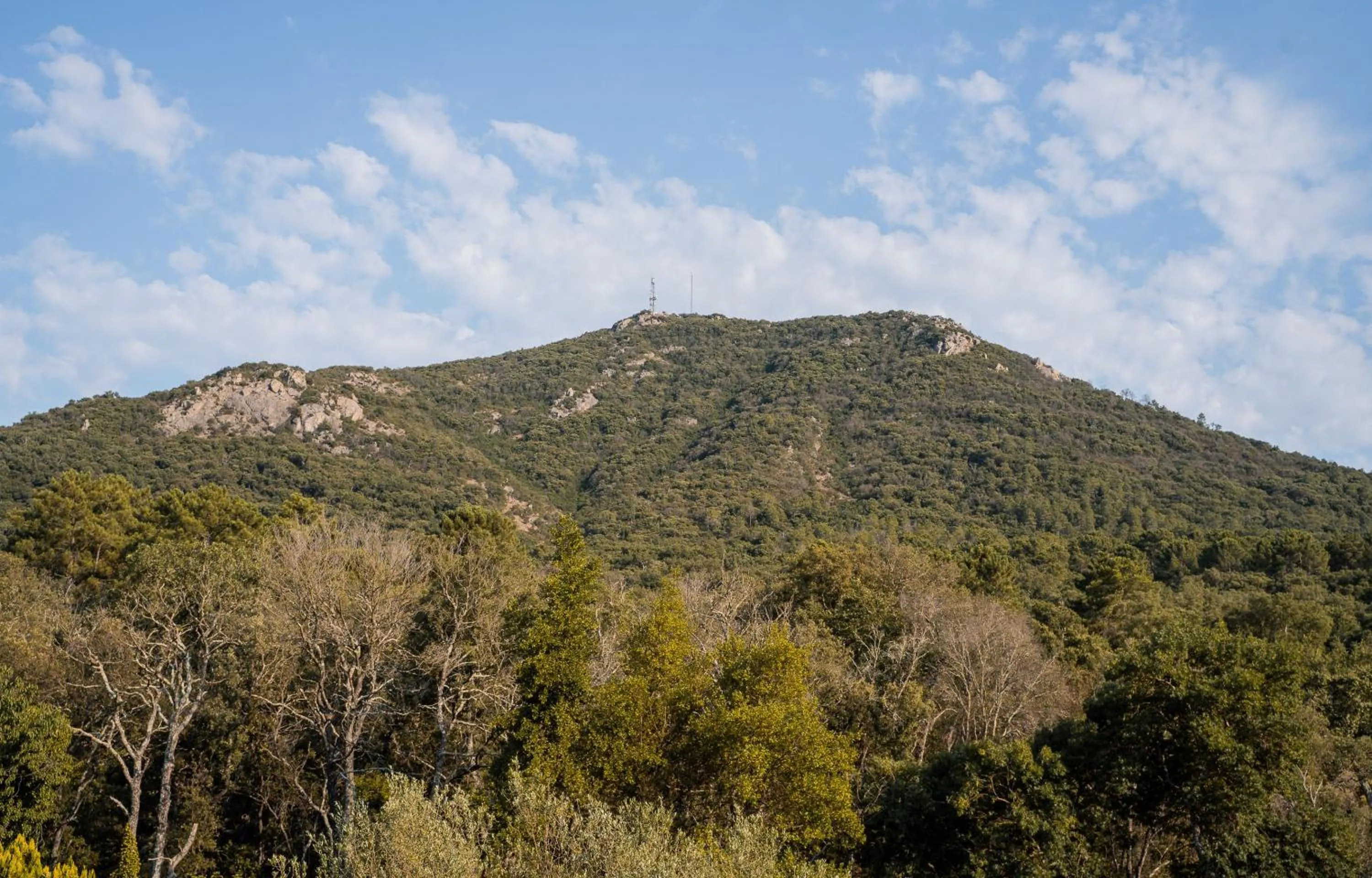 Natural landscape in La Bergerie