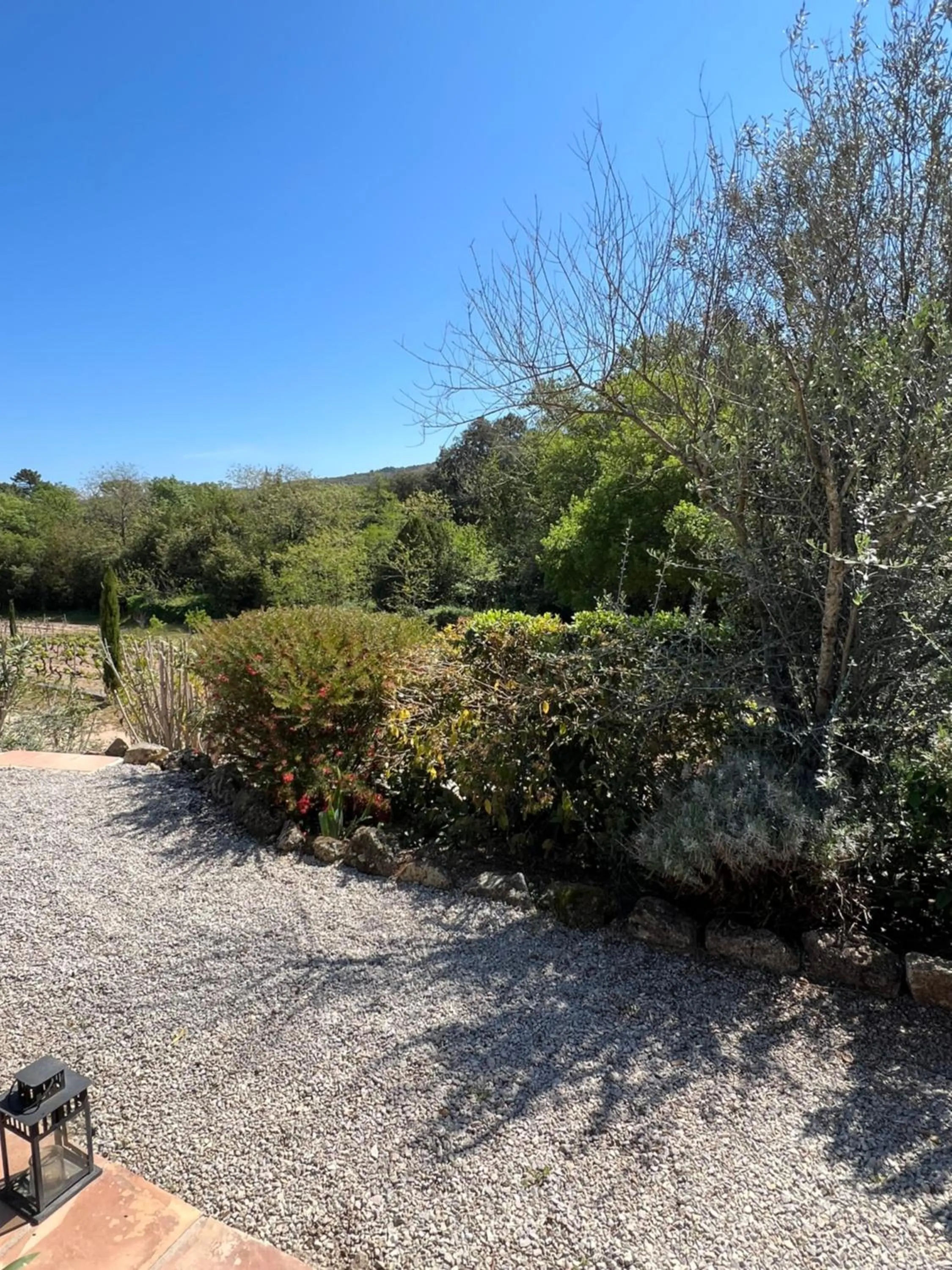 View (from property/room) in La Bergerie