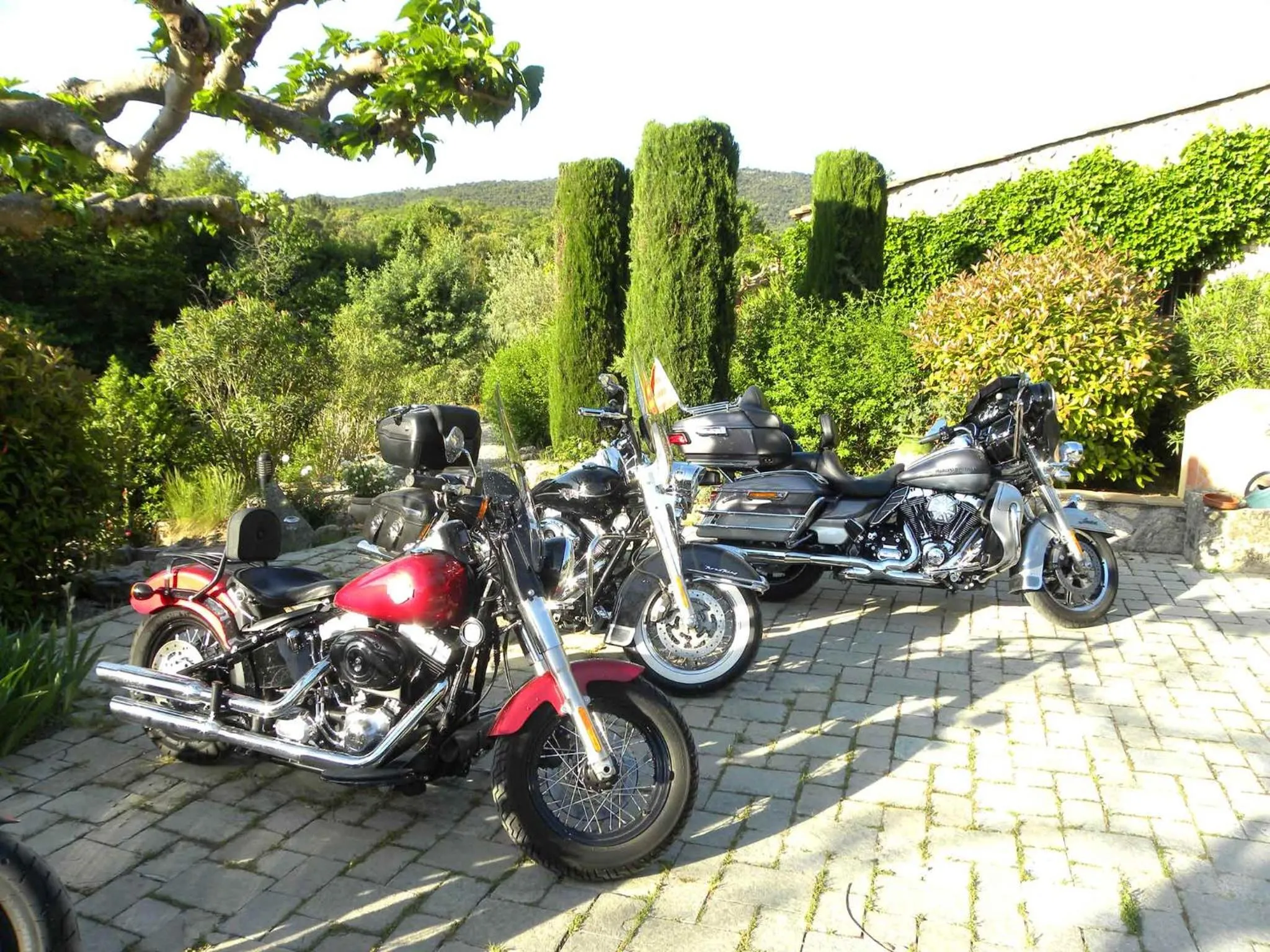 Guests in La Bergerie