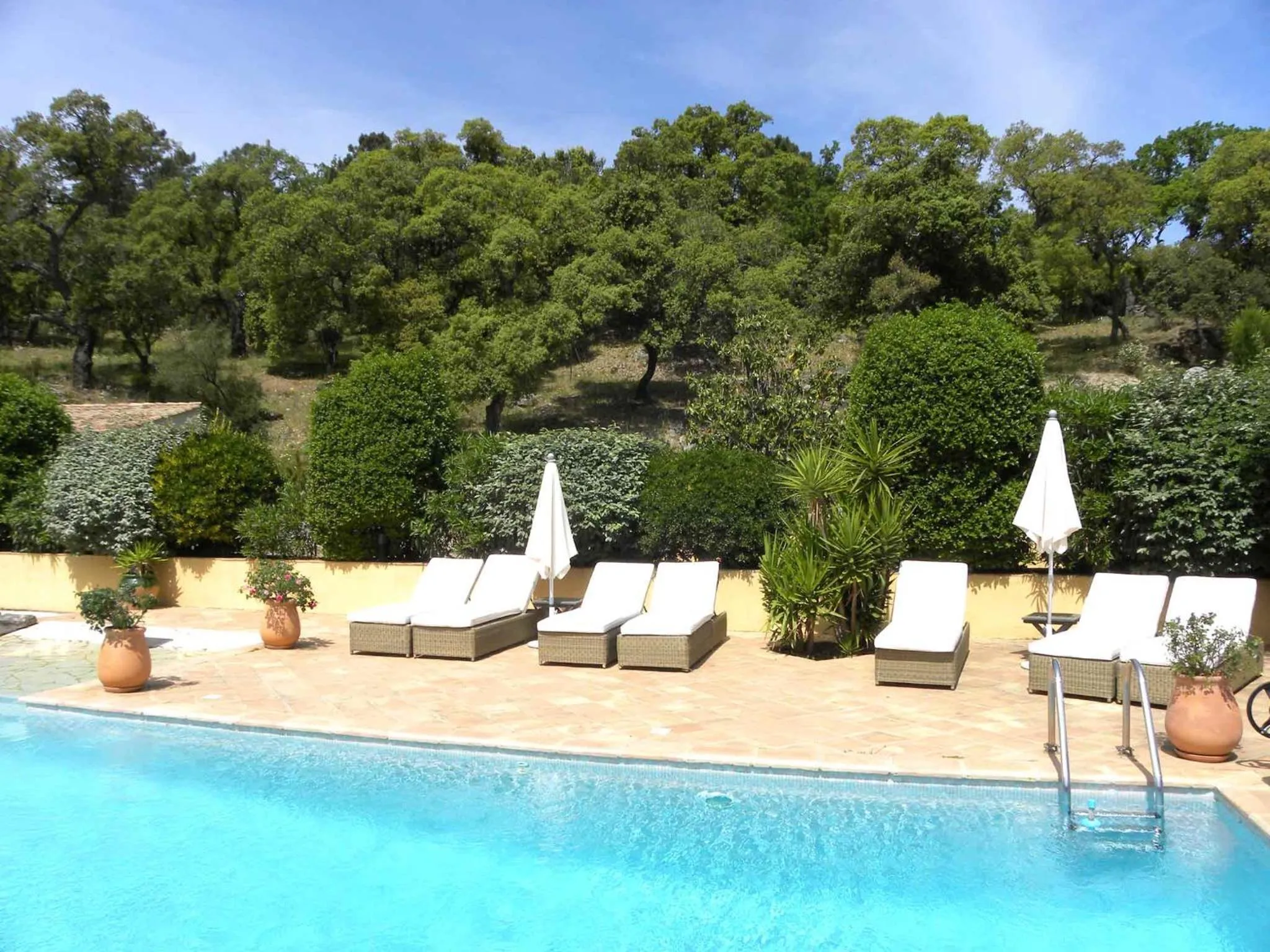 View (from property/room) in La Bergerie