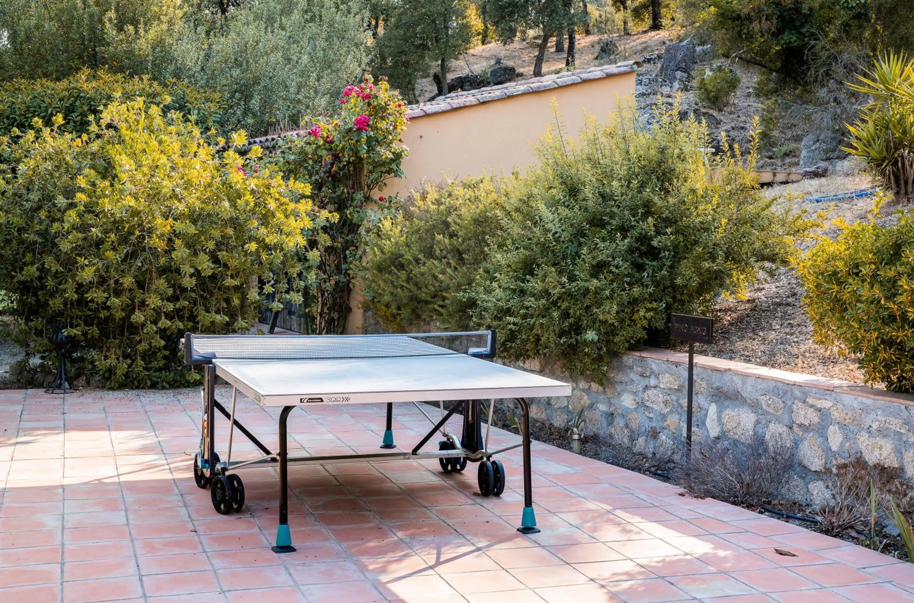 Table tennis in La Bergerie