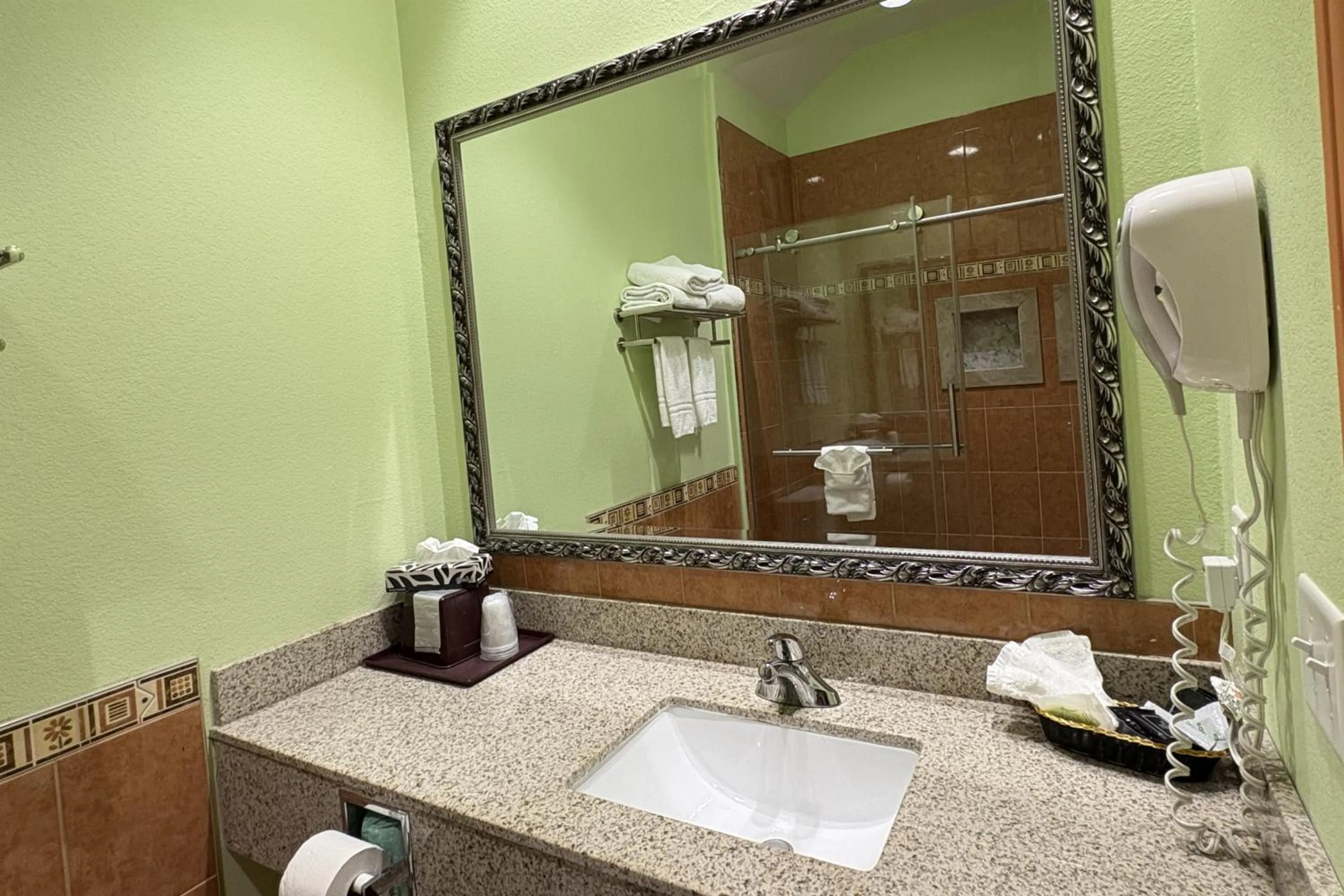 Bathroom in Regency Inn & Suites By Capital O Houston IAH Airport