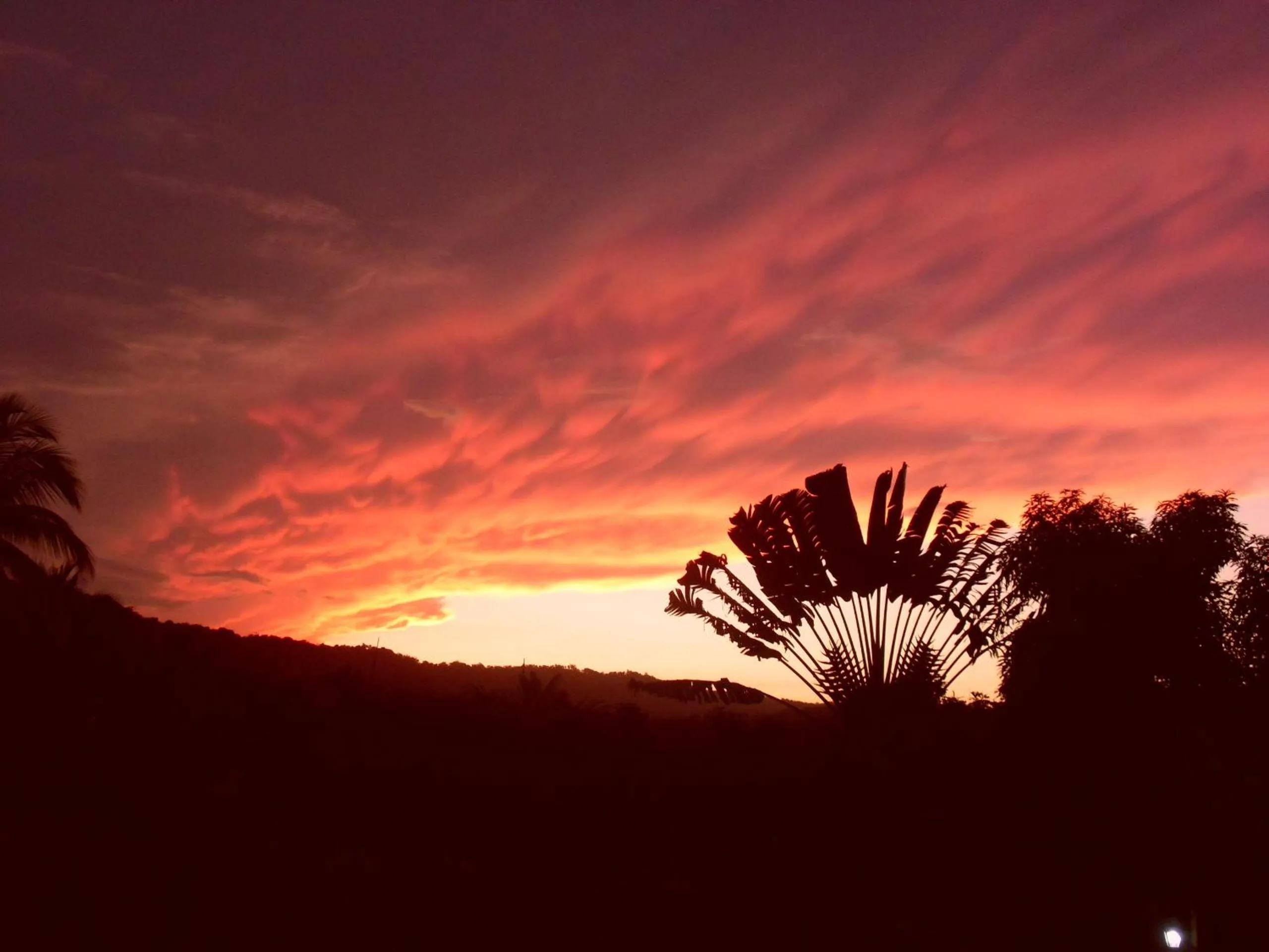 Natural landscape in Tamarind Great House