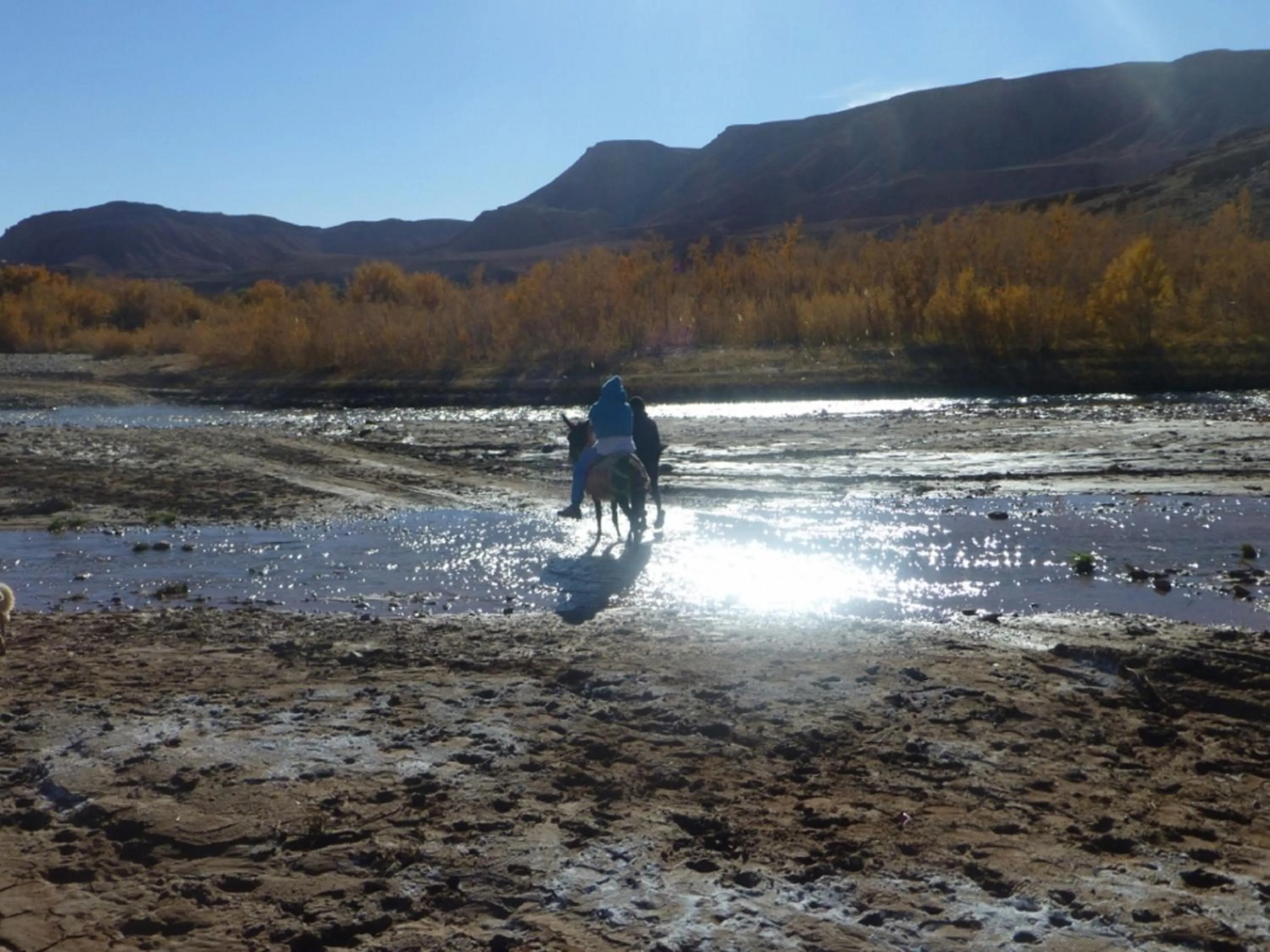 Garden in Kasbah La Cigogne