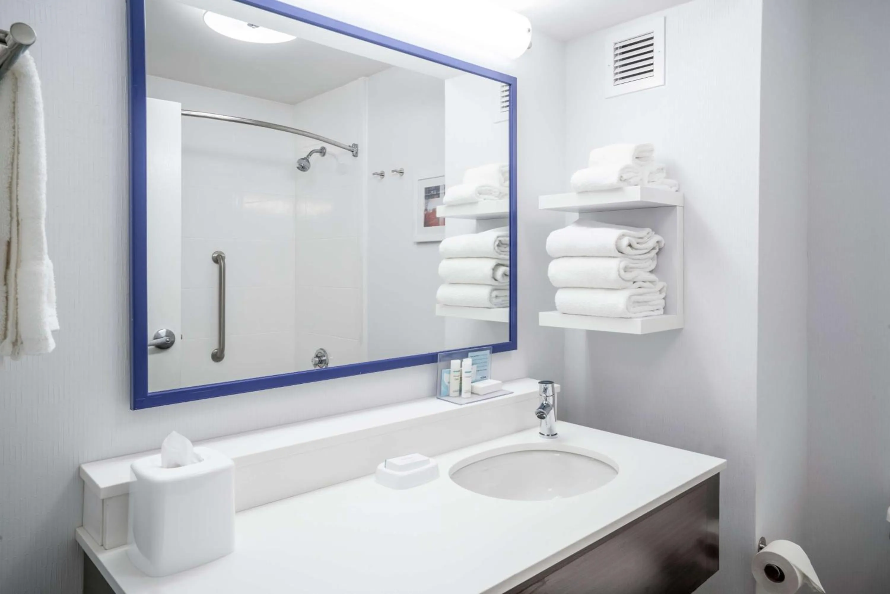 Bathroom in Hampton Inn Huntsville-Madison