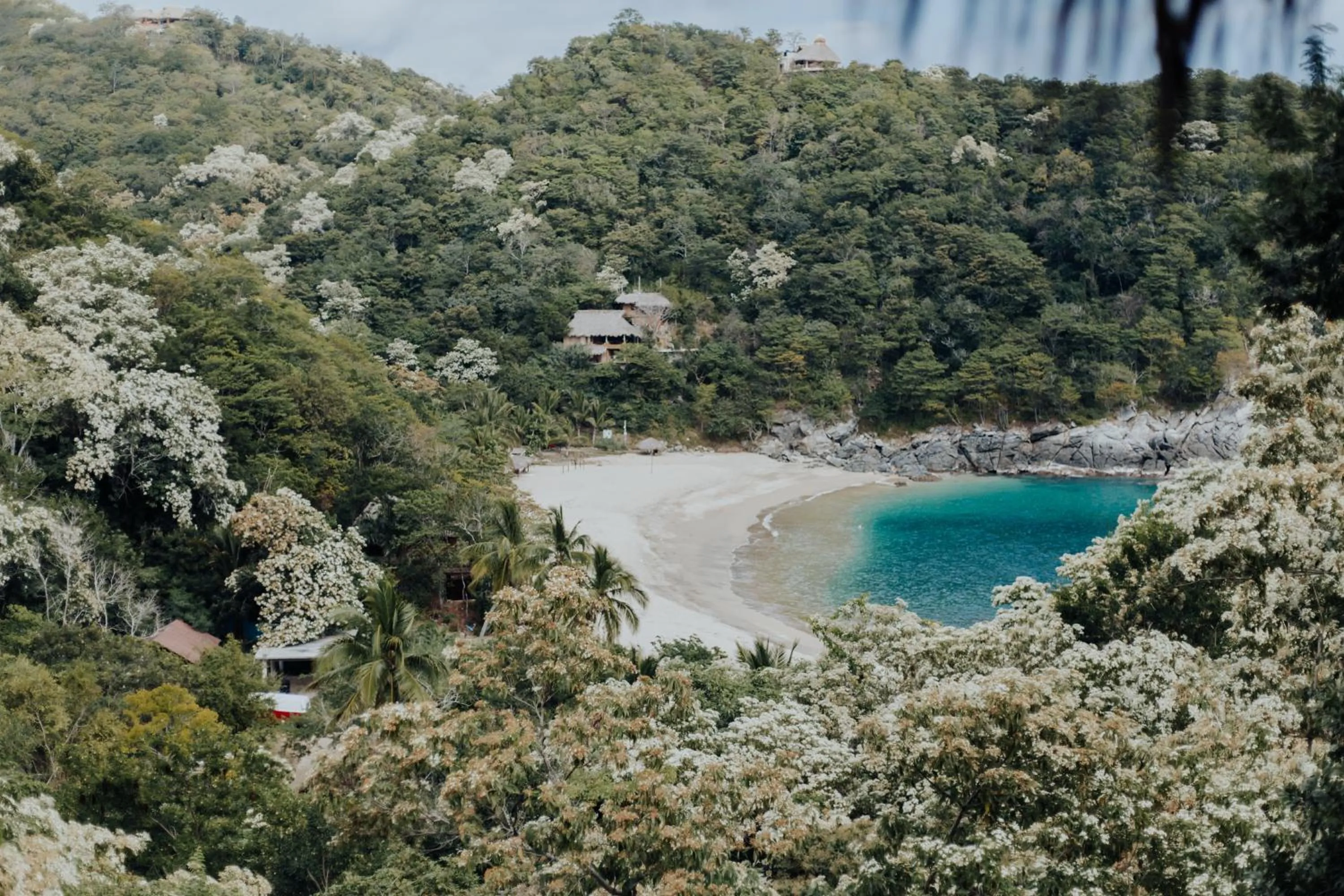 Bird's-eye View in Casa Morena
