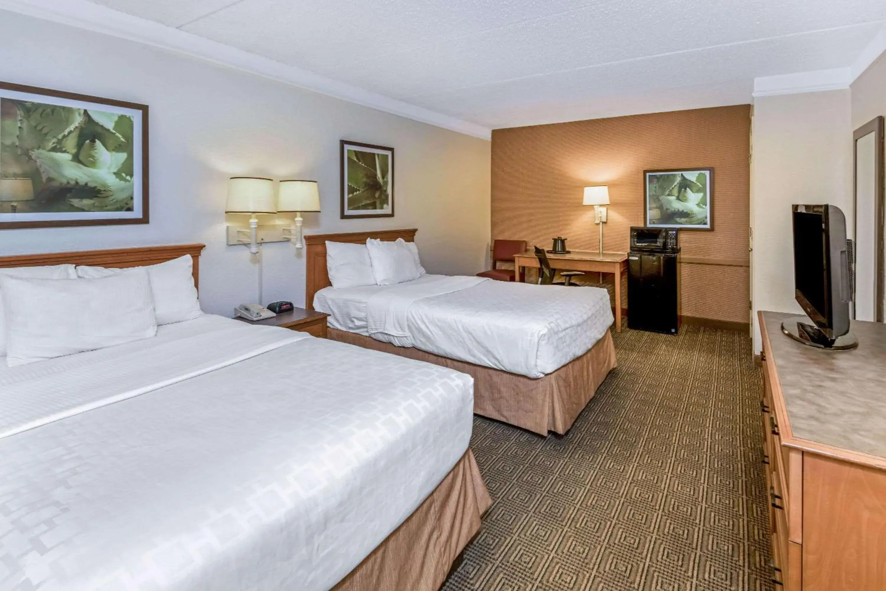 Deluxe Double Room with Two Double Beds - Non-Smoking in La Quinta Inn by Wyndham San Antonio I-35 N at Rittiman Rd Deluxe Double Room with Two Double Beds - Non-Smoking in La Quinta Inn by Wyndham San Antonio I-35 N at Rittiman Rd