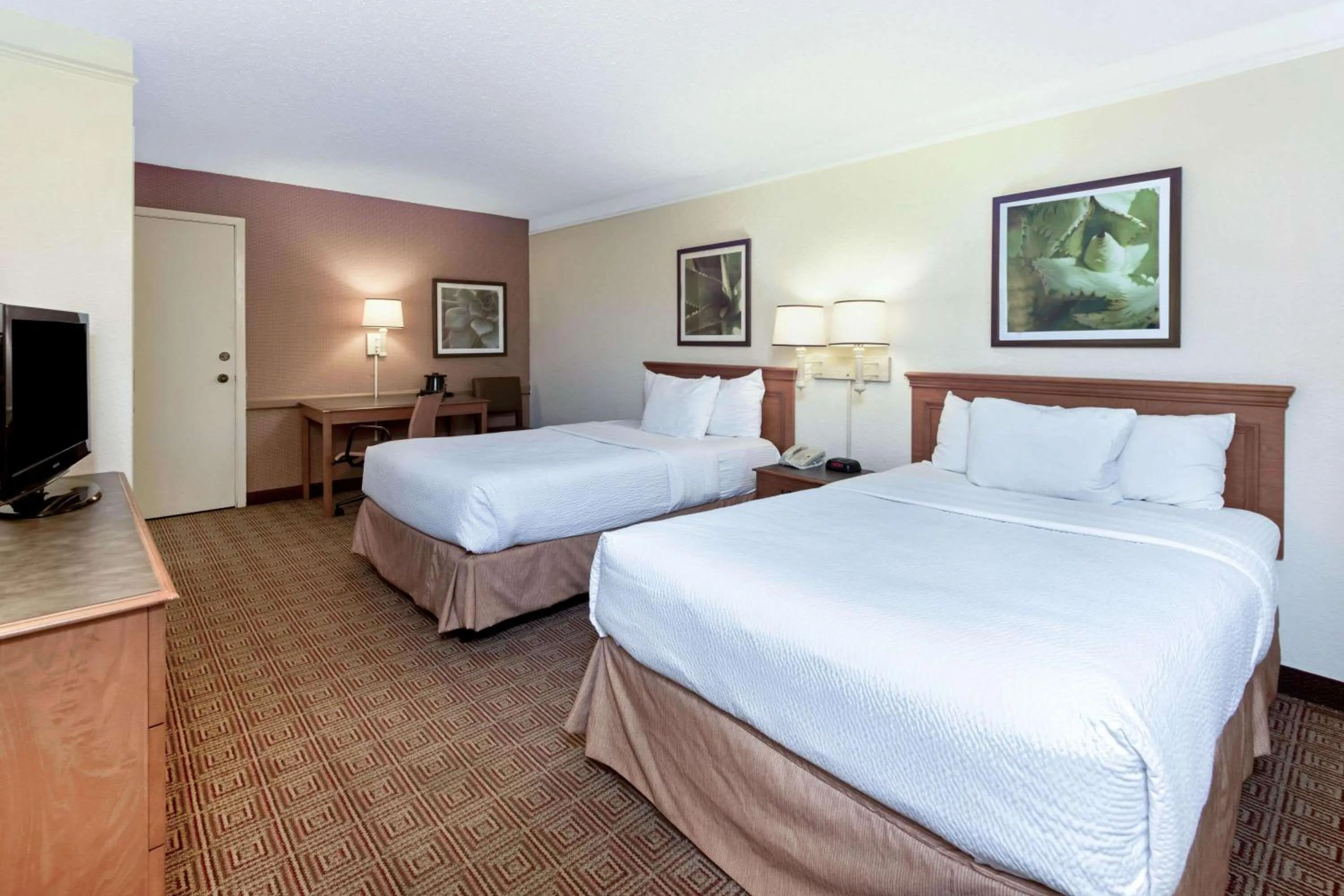 Deluxe Double Room with Two Double Beds - Smoking in La Quinta Inn by Wyndham San Antonio I-35 N at Rittiman Rd