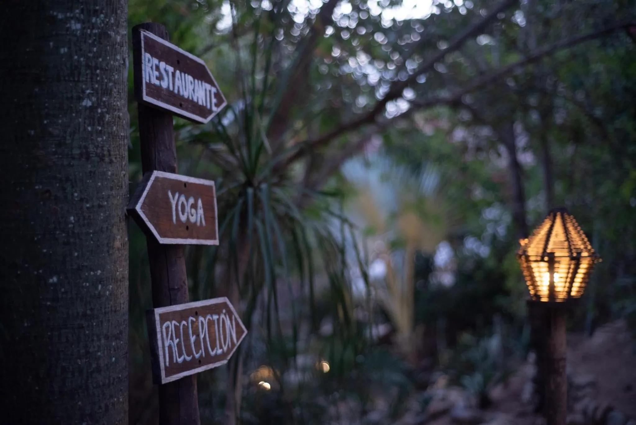 El Alquimista Yoga Spa